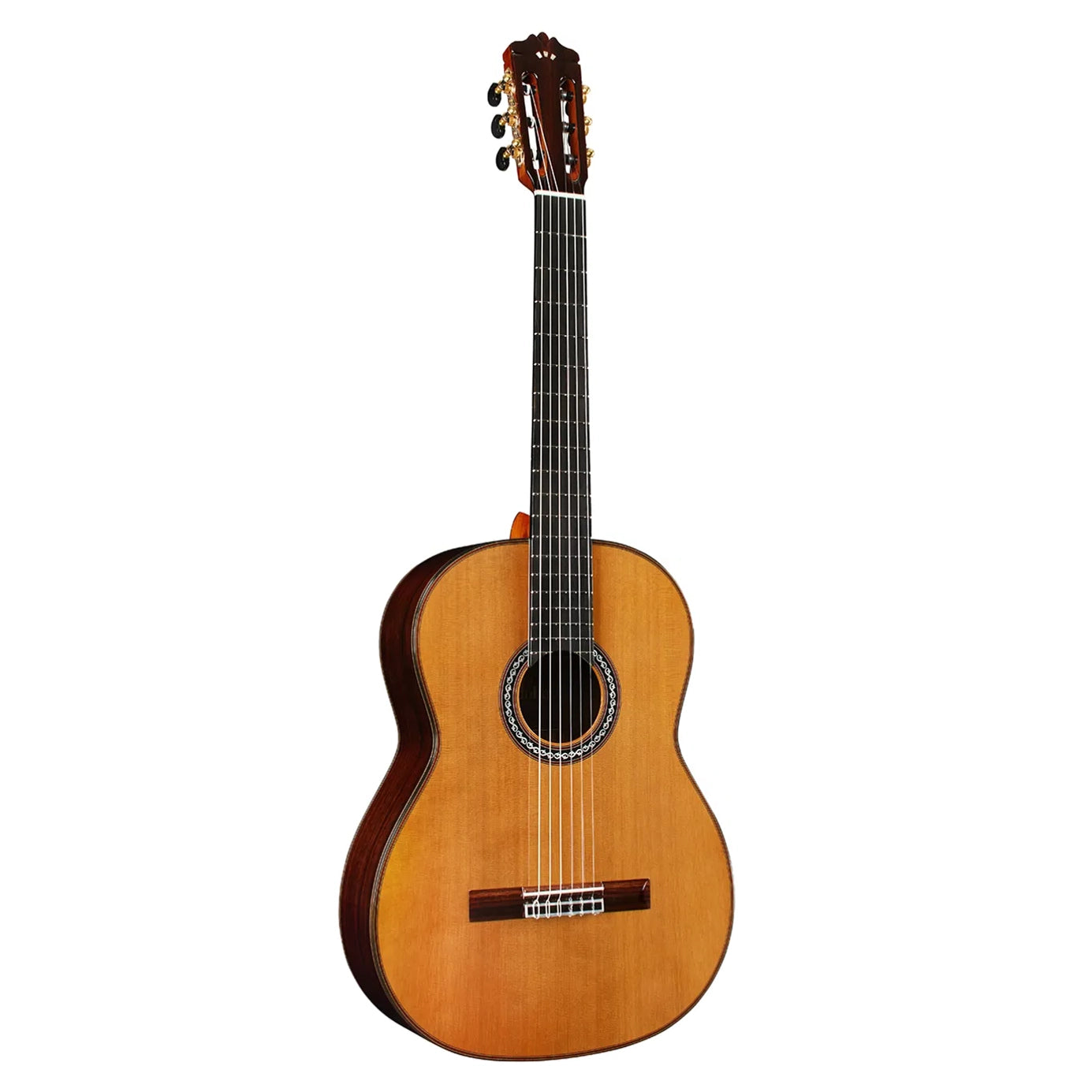 Cordoba C10CD All Solid Cedar Top Classical Guitar w/Case