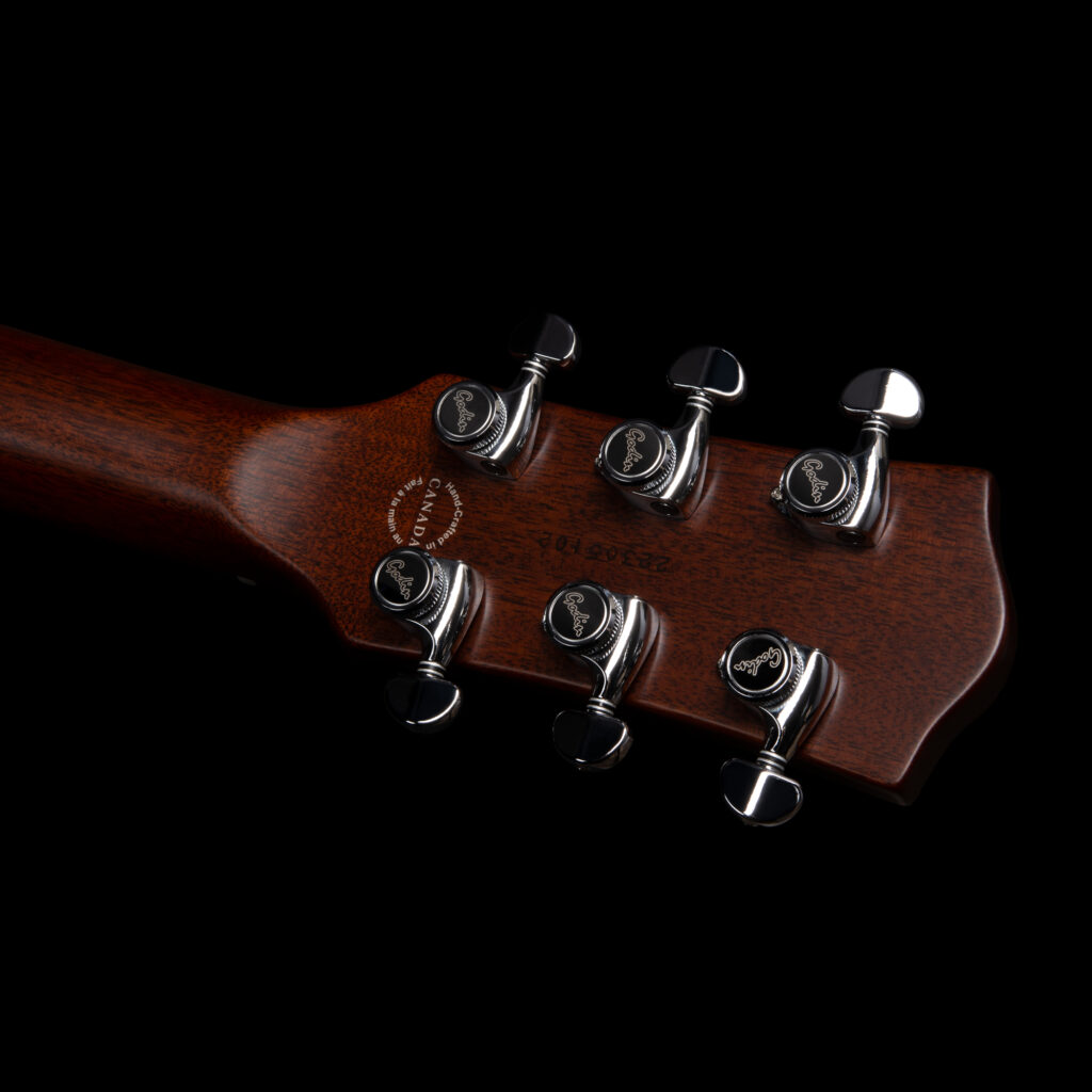 Godin Radium-X Natural Electric Guitar w/Gig Bag