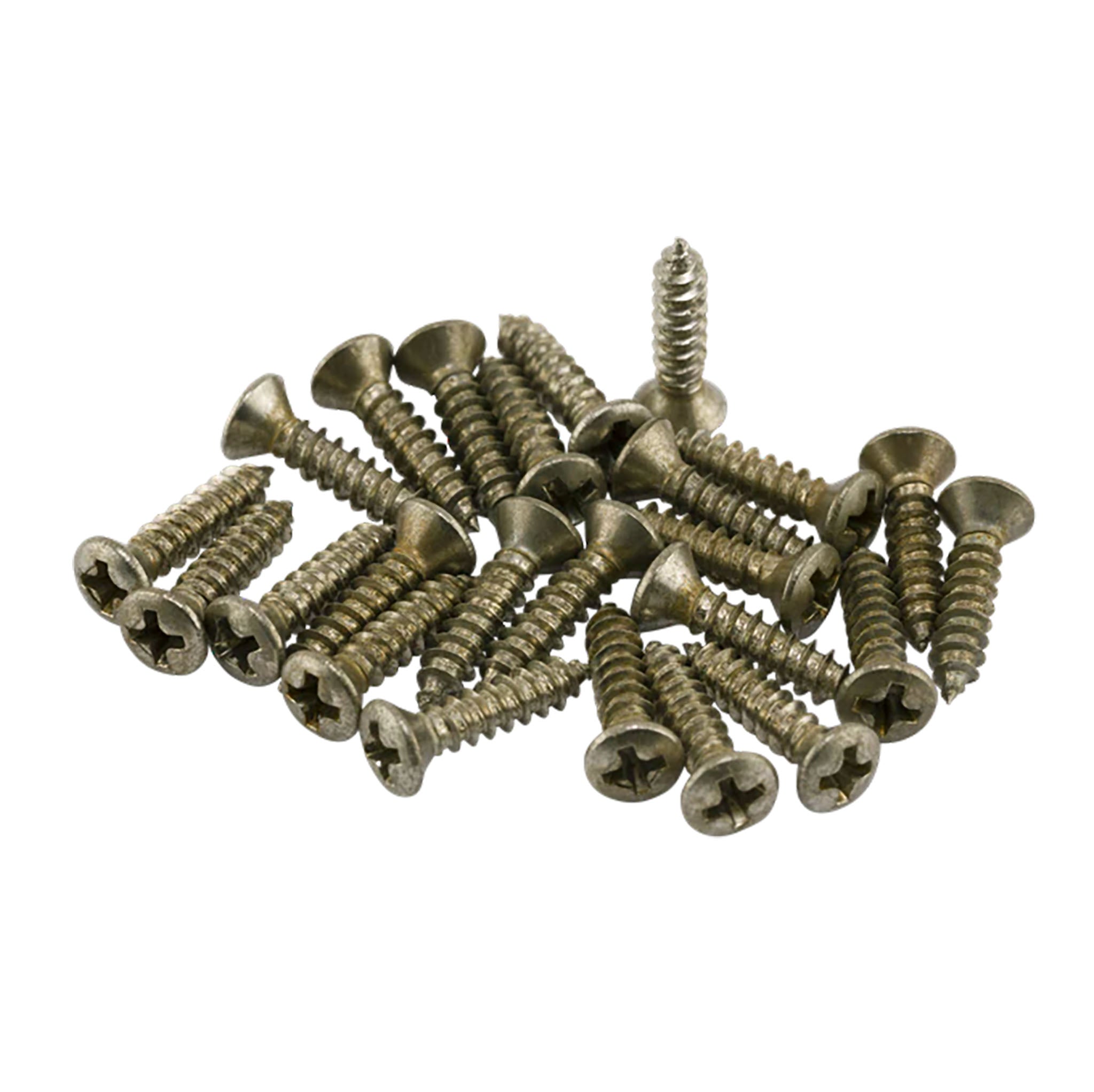 Fender Road Worn® Pickguard/Control Plate Screws (24)