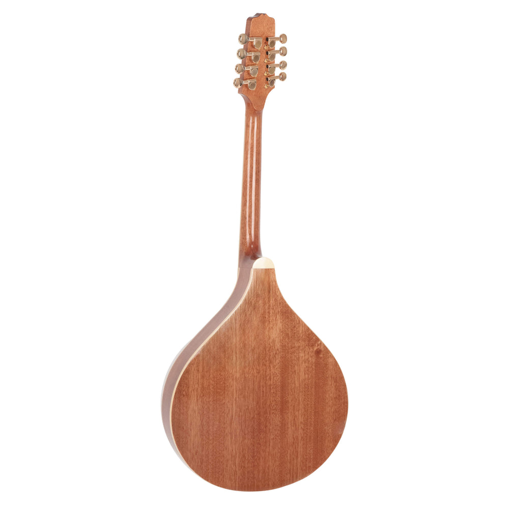 Gold Tone OM-800+ Octave Mandolin with Pickup  and case