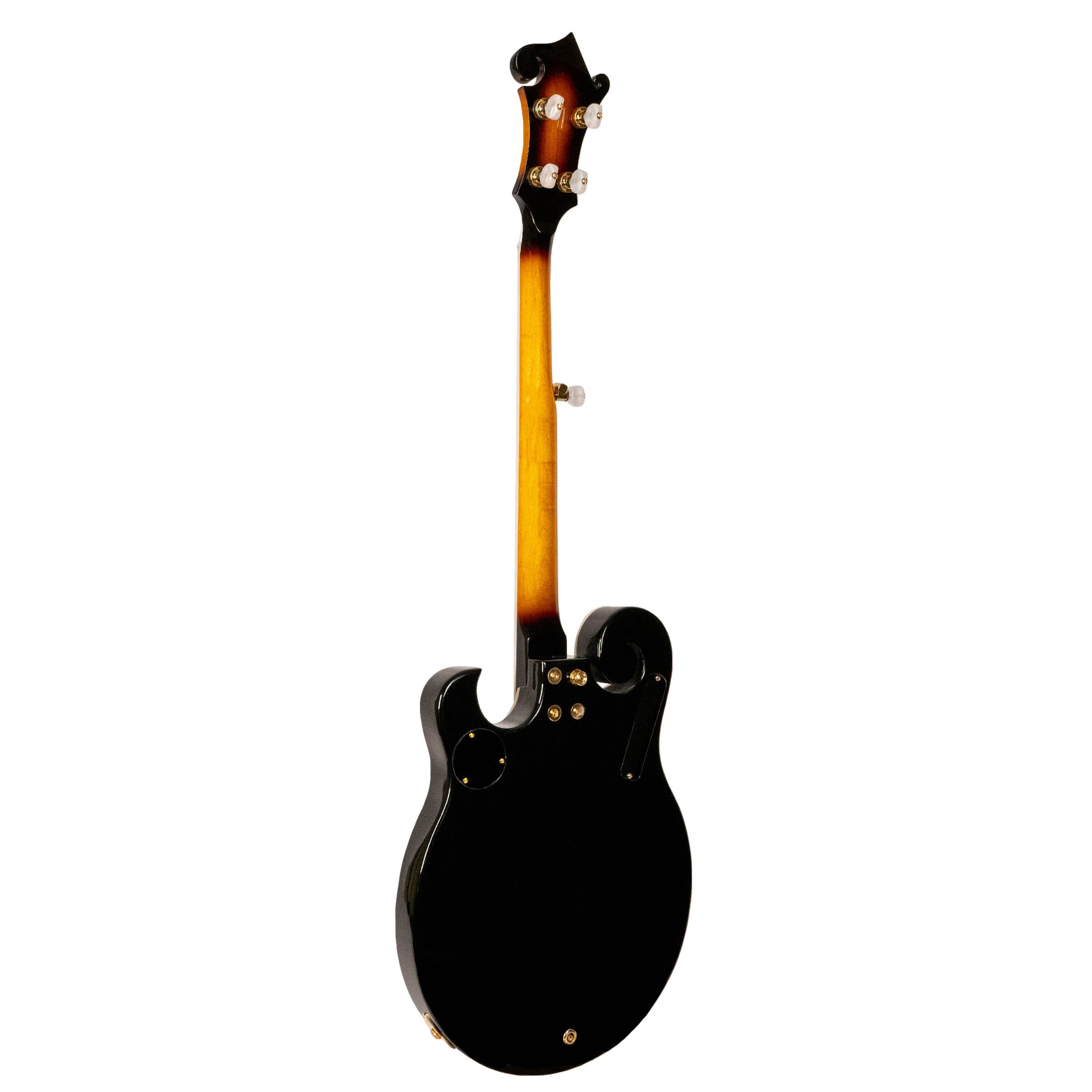 Gold Tone EB-M5 Electric Solid Body 5-String Banjo (no case