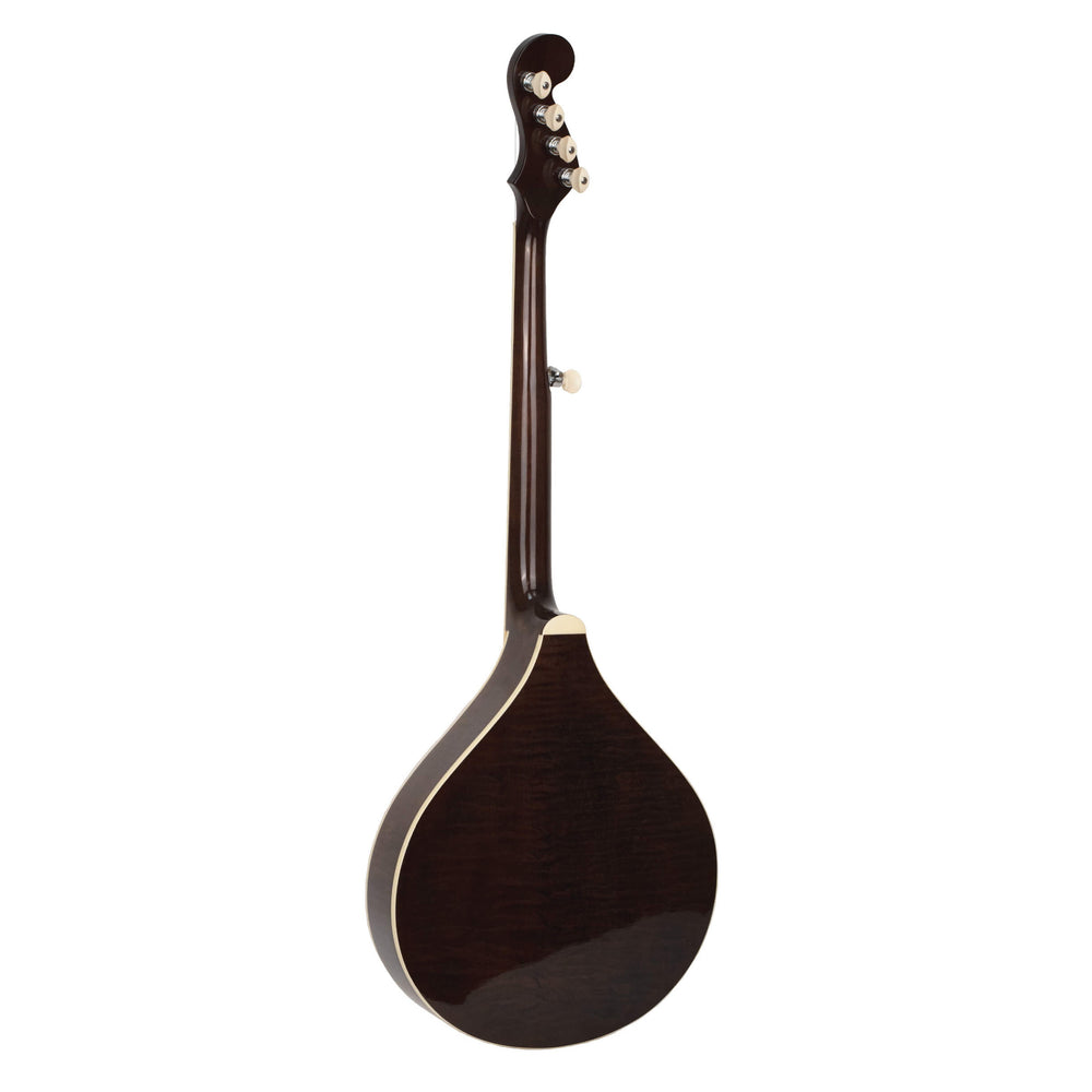 Gold Tone Banjola+ with bag