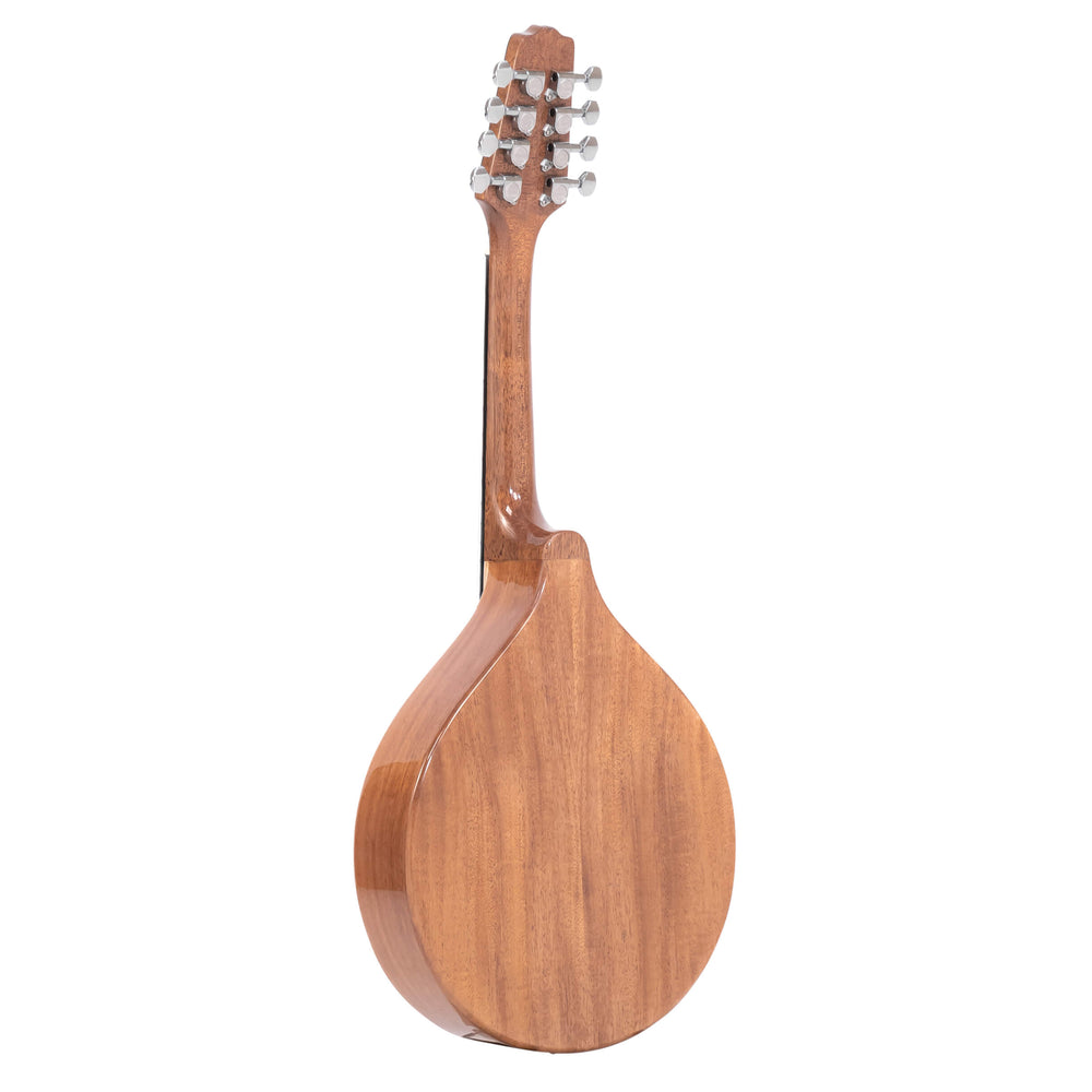 Gold Tone Mandola with bag