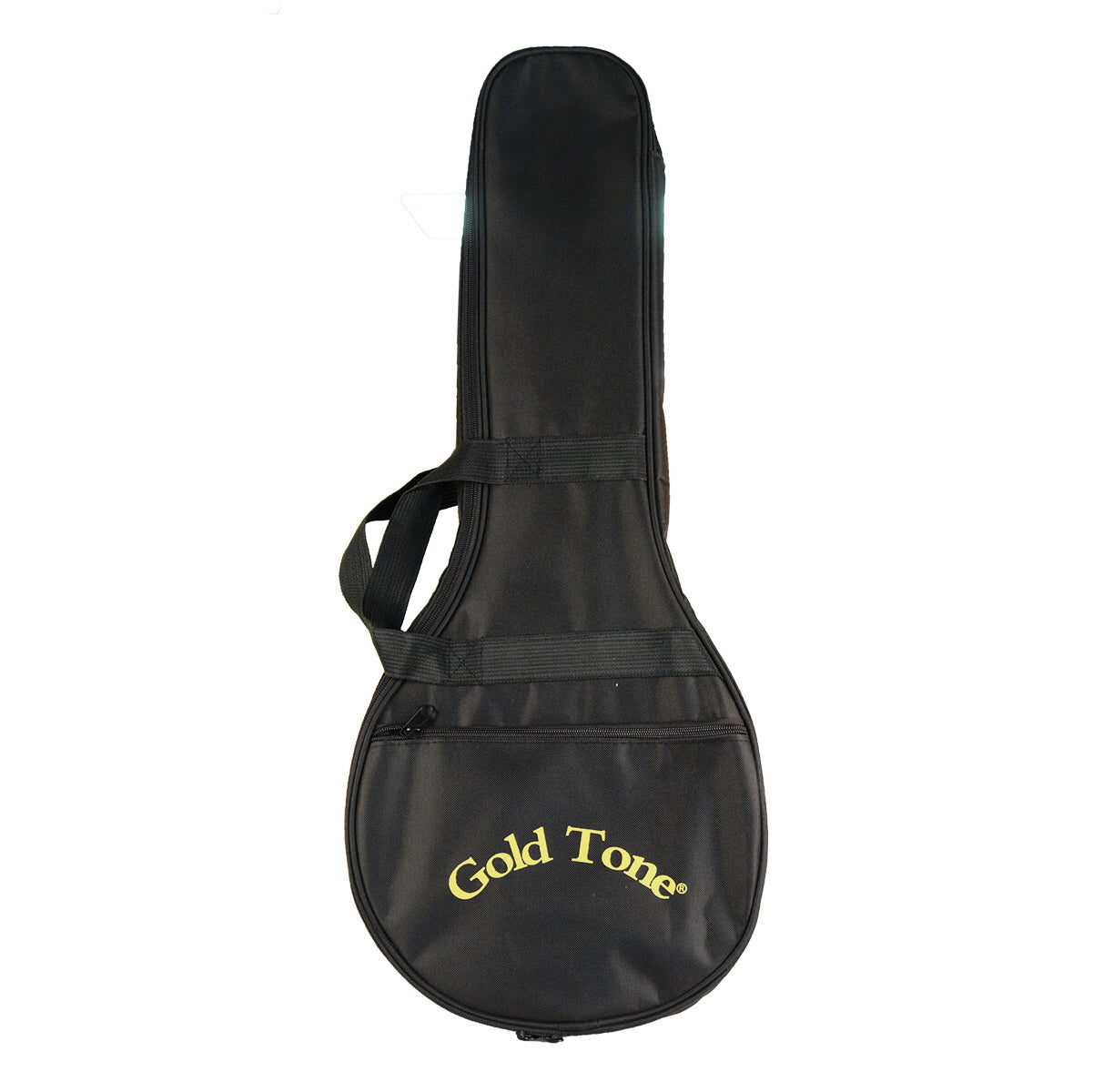 Gold Tone Mandola with bag