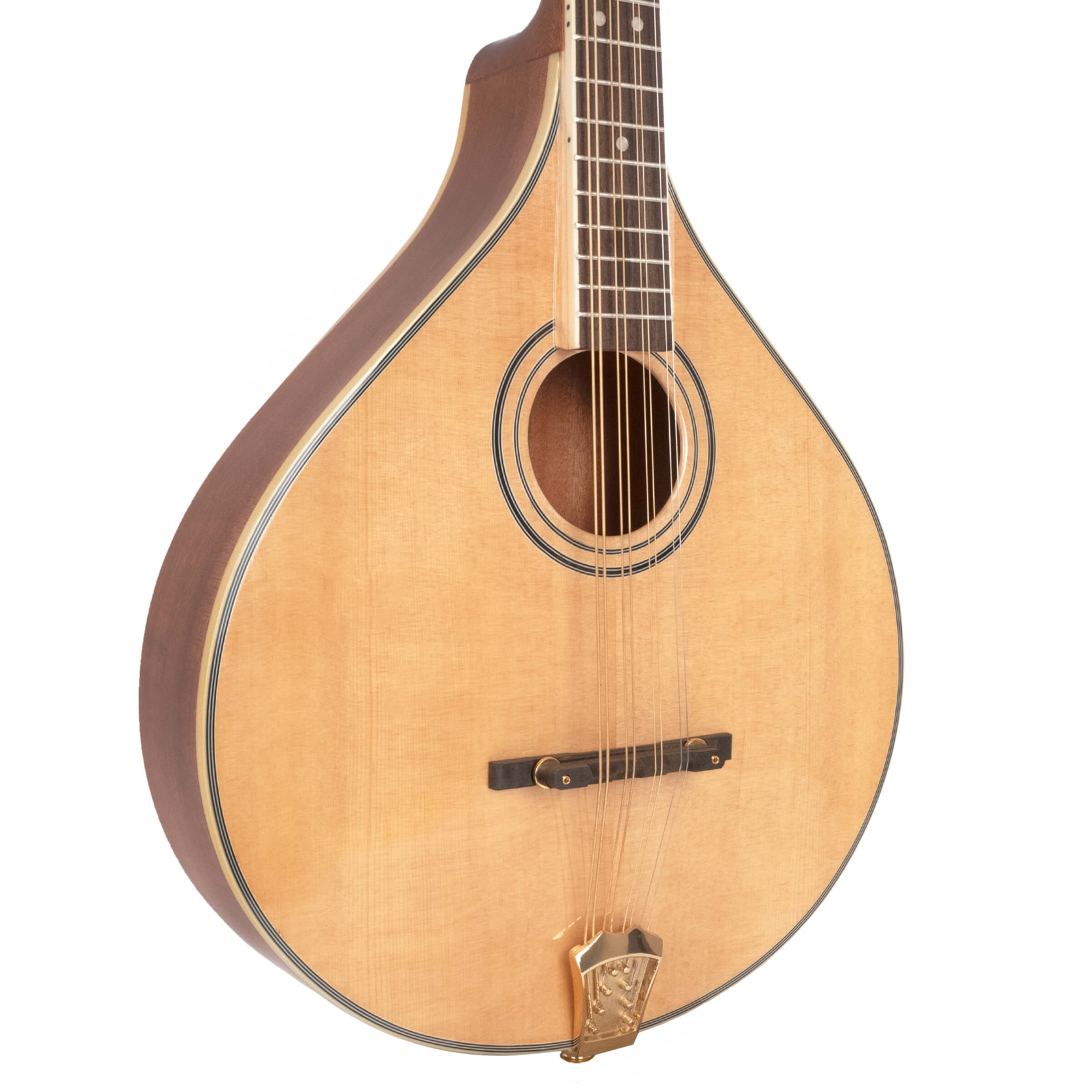 Gold Tone OM-800+ Octave Mandolin with Pickup  and case
