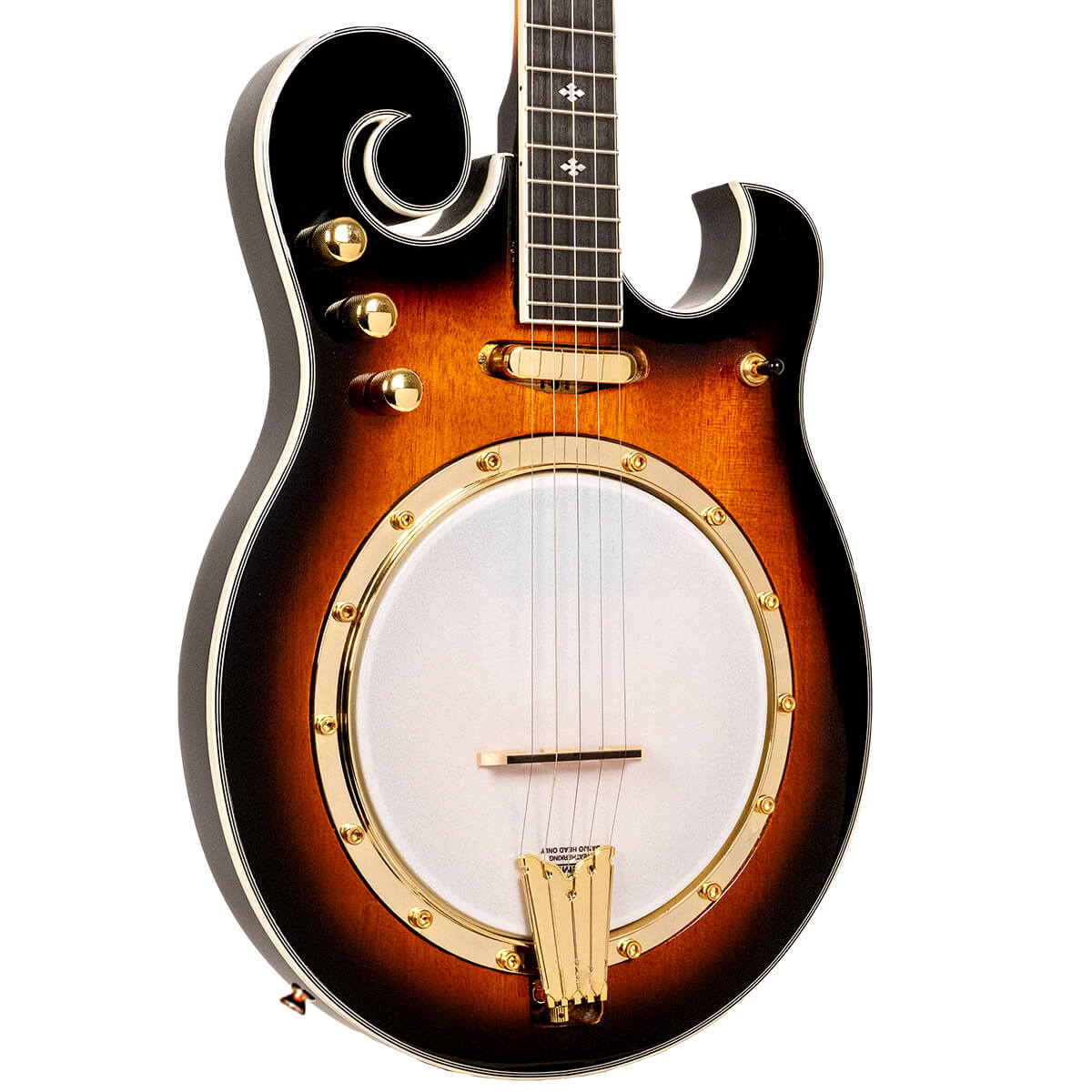 Gold Tone EB-M5 Electric Solid Body 5-String Banjo  (no case)