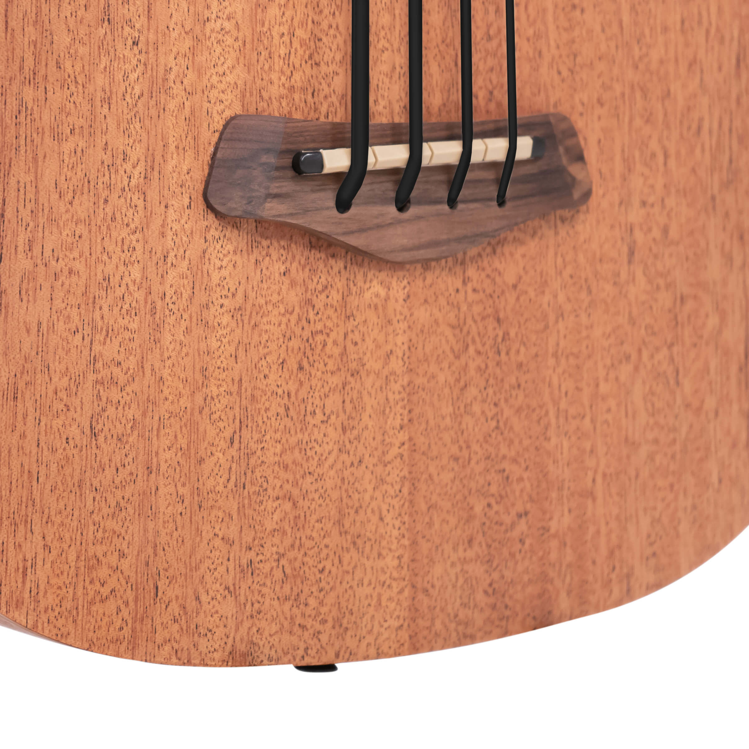 Gold Tone M-Bass 25FL  Fretless Acoustic-Electric  MicroBass w/Bag