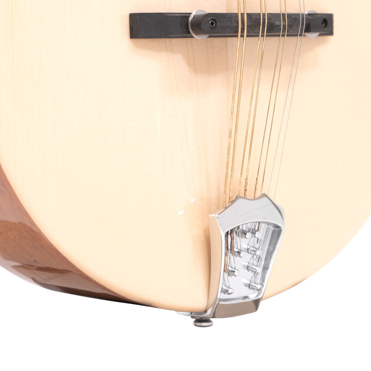 Gold Tone Mandola with bag