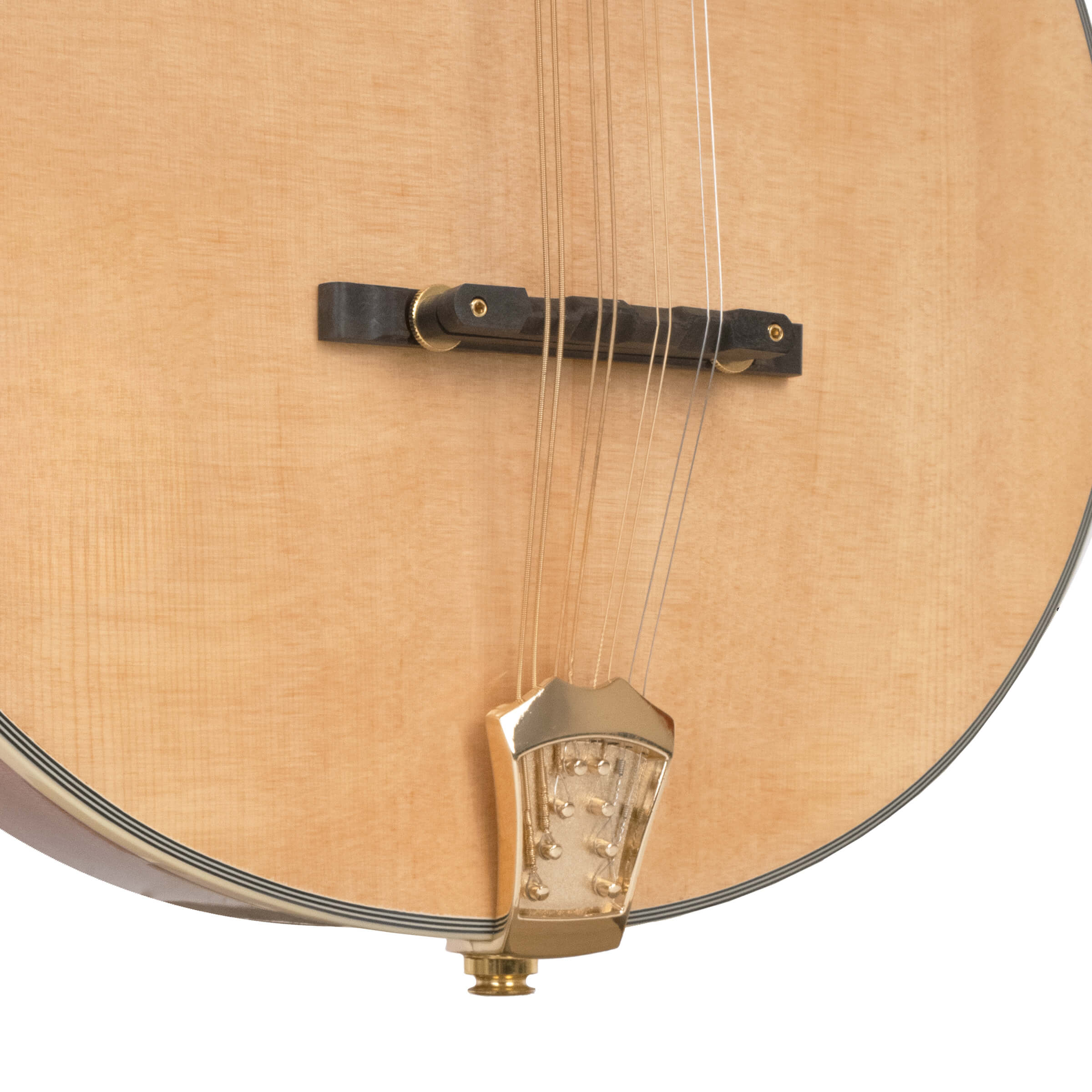 Gold Tone OM-800+ Octave Mandolin with Pickup  and case