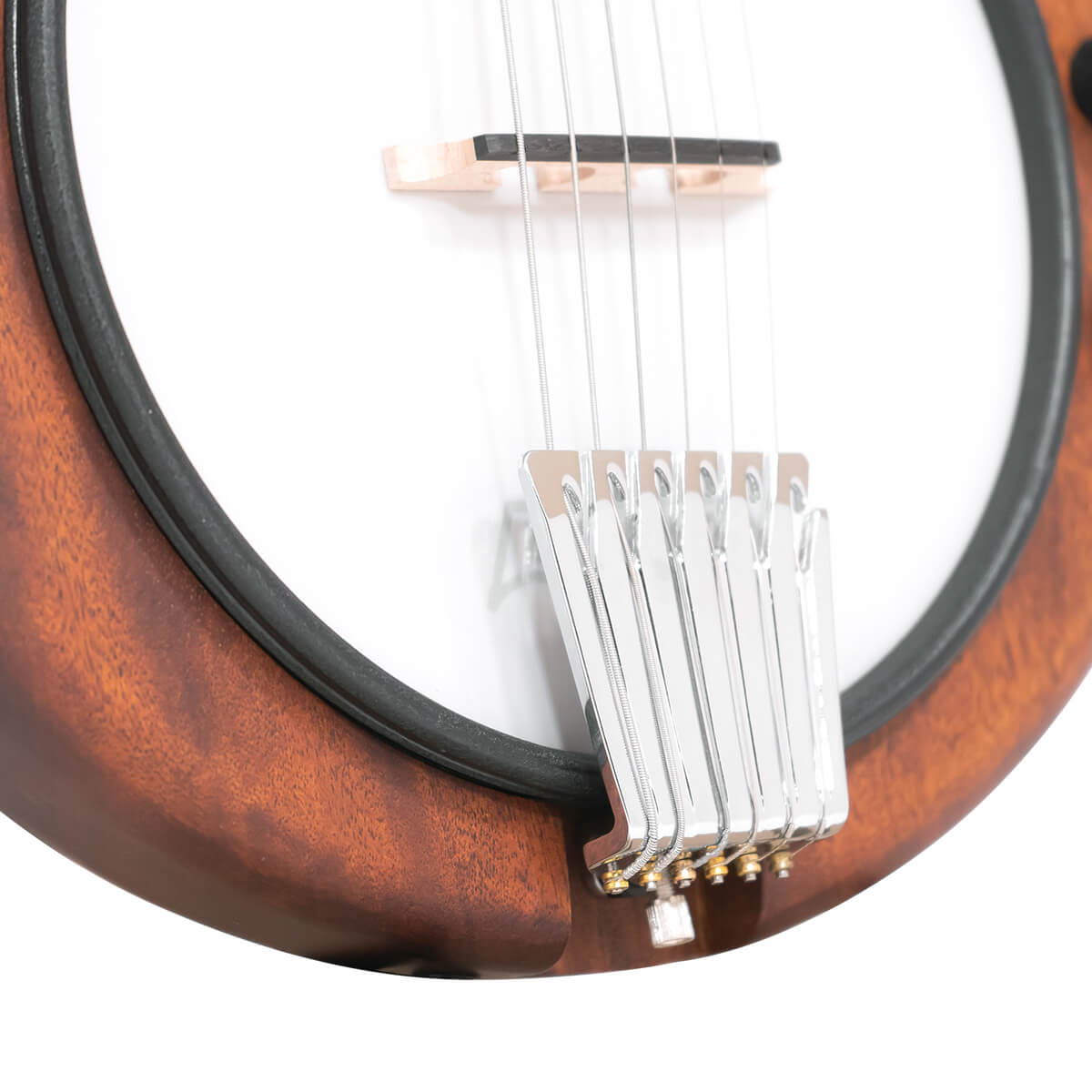 Gold Tone EB-6 Solid Body Electric 6-String Banjitar w/Bag