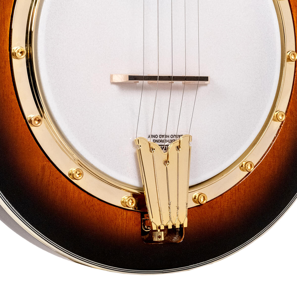 Gold Tone EB-M5 Electric Solid Body 5-String Banjo  (no case)
