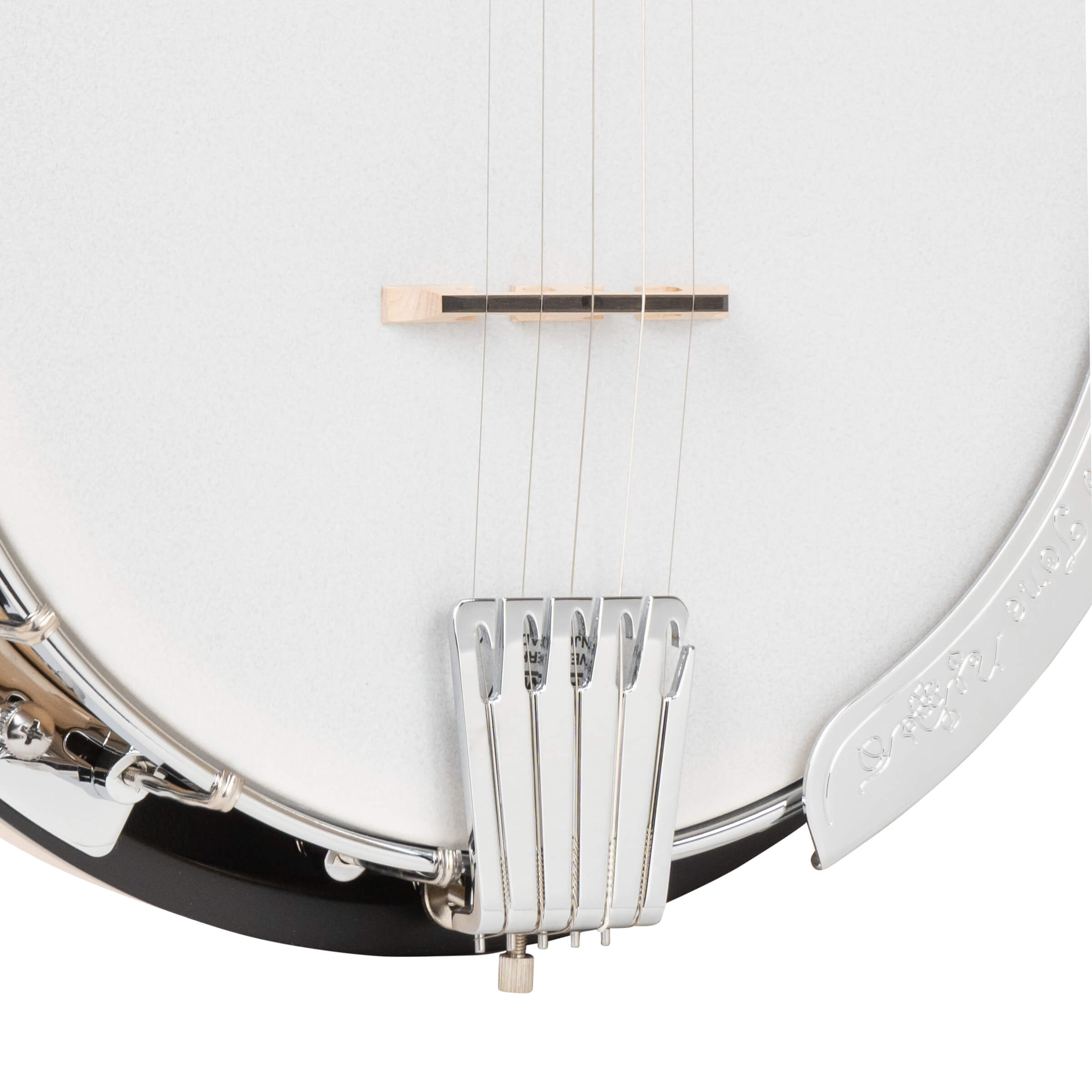 Gold Tone CC-100R/L Cripple Creek Left Handed Banjo w/Bag