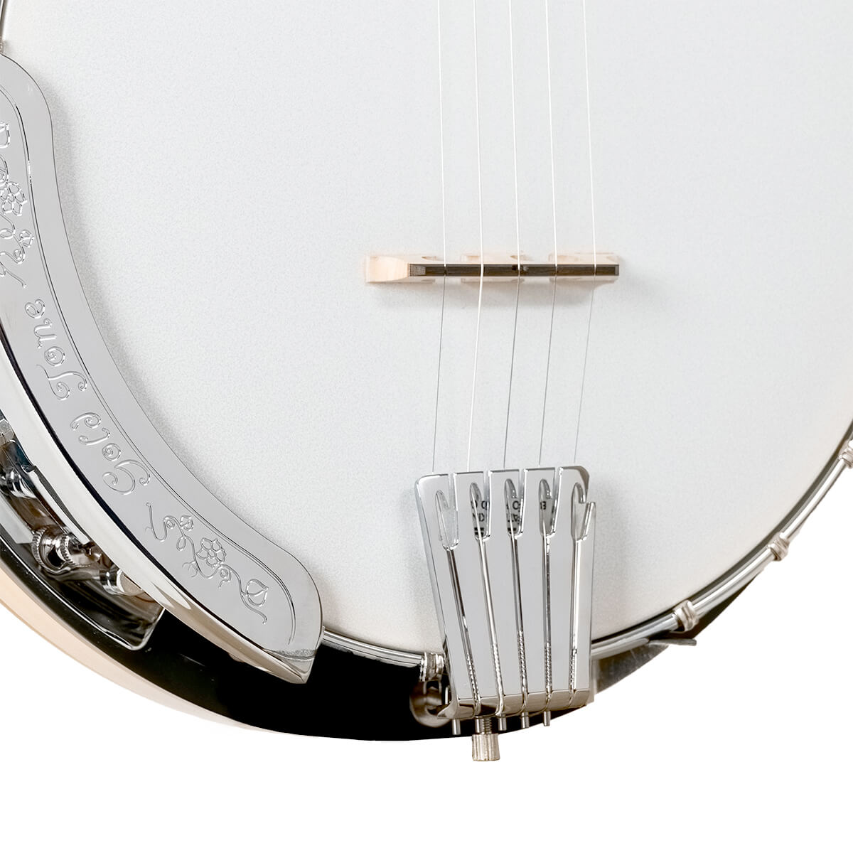 Gold Tone CC-100R Cripple Creek Resonator Banjo w/Bag