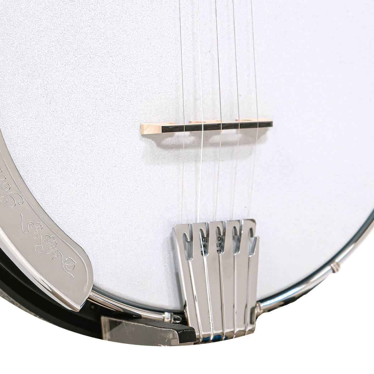 Gold Tone B1116-5 Terminator 5-String Tailpiece