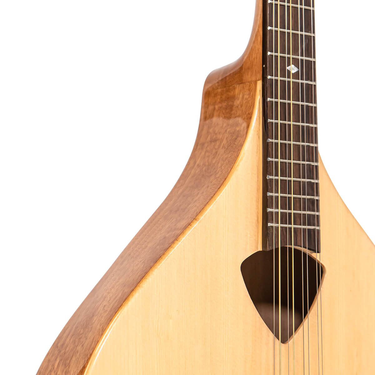 Gold Tone BZ-500 Irish Bouzouki Mandolin with Pickup and Case