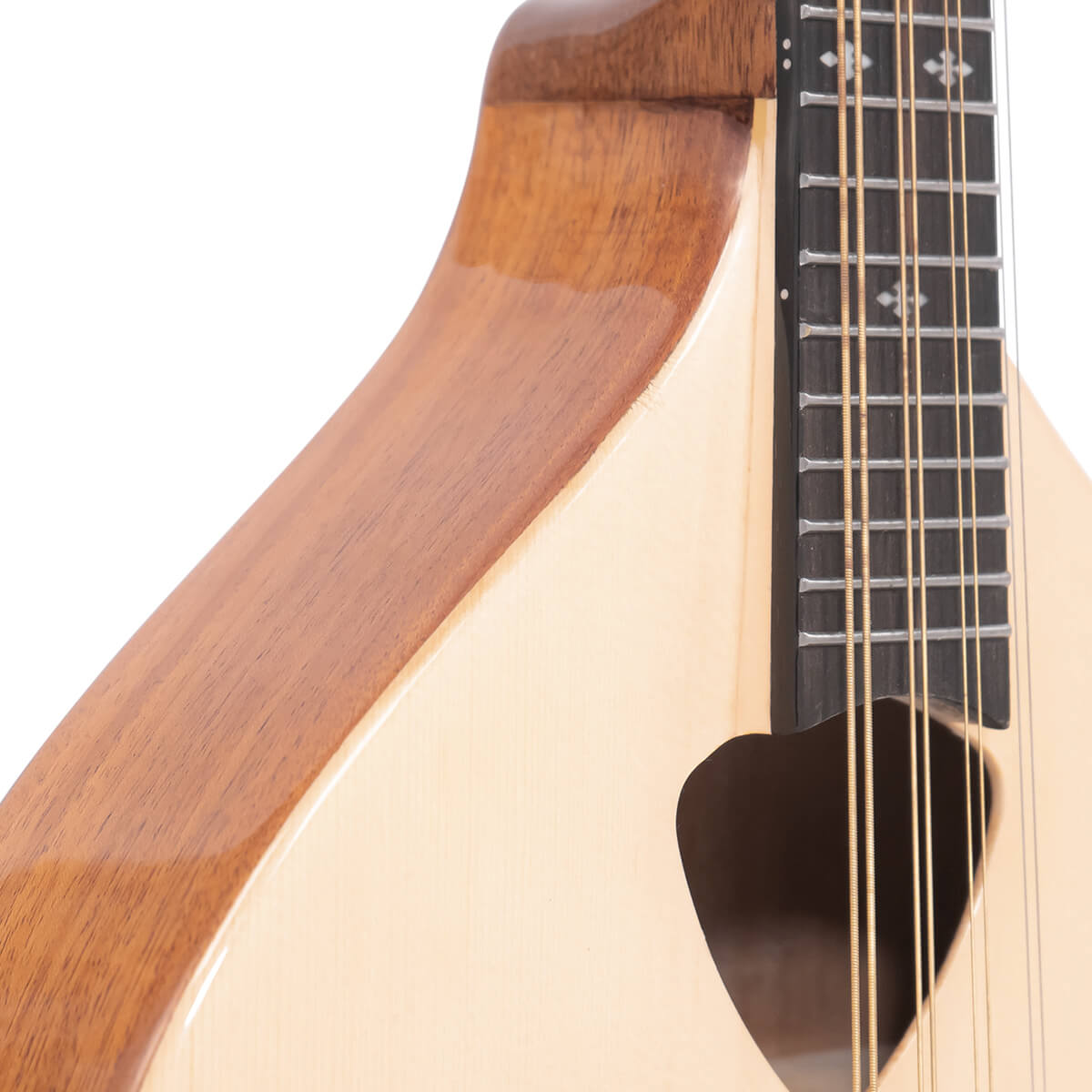 Gold Tone Mandola with bag