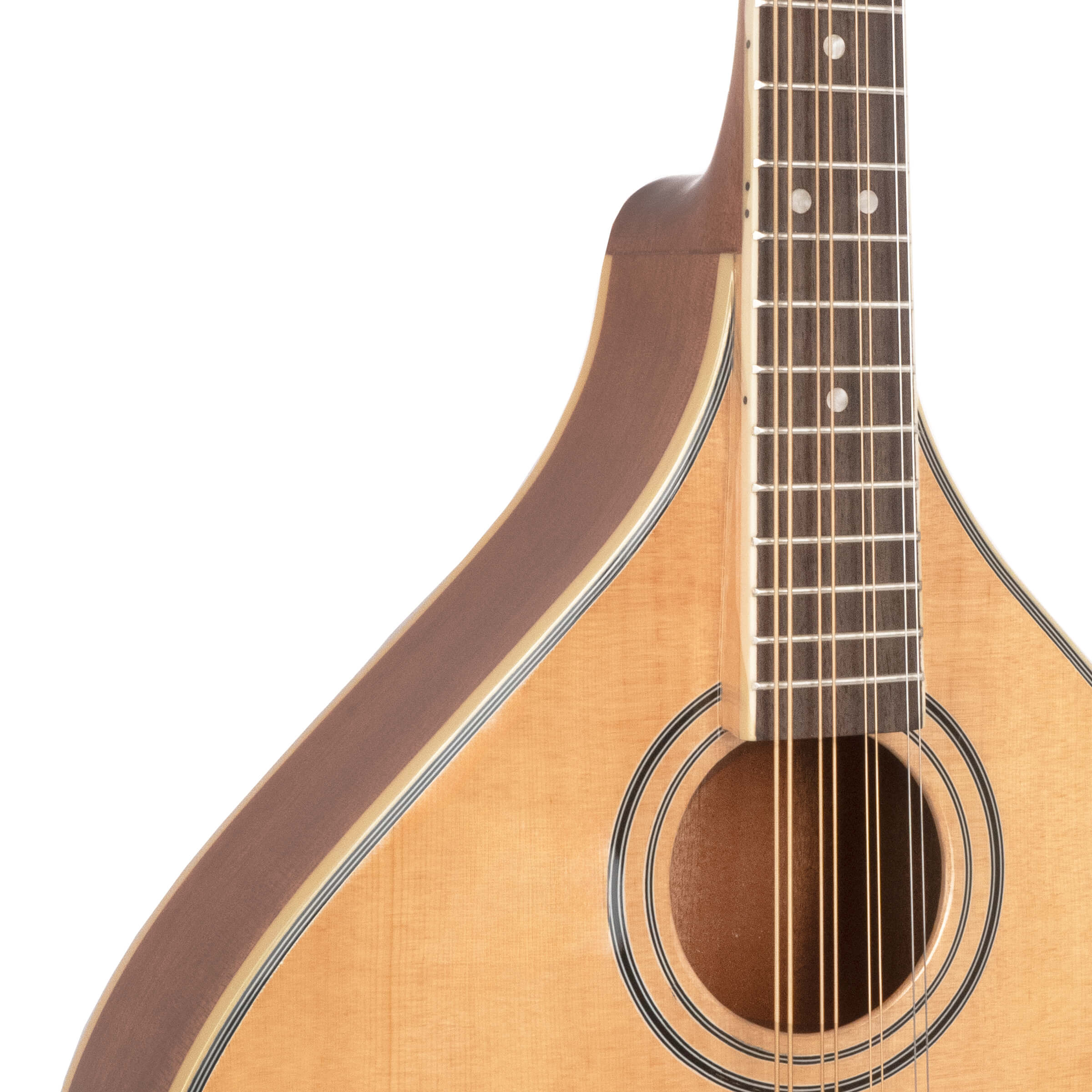 Gold Tone OM-800+ Octave Mandolin with Pickup  and case
