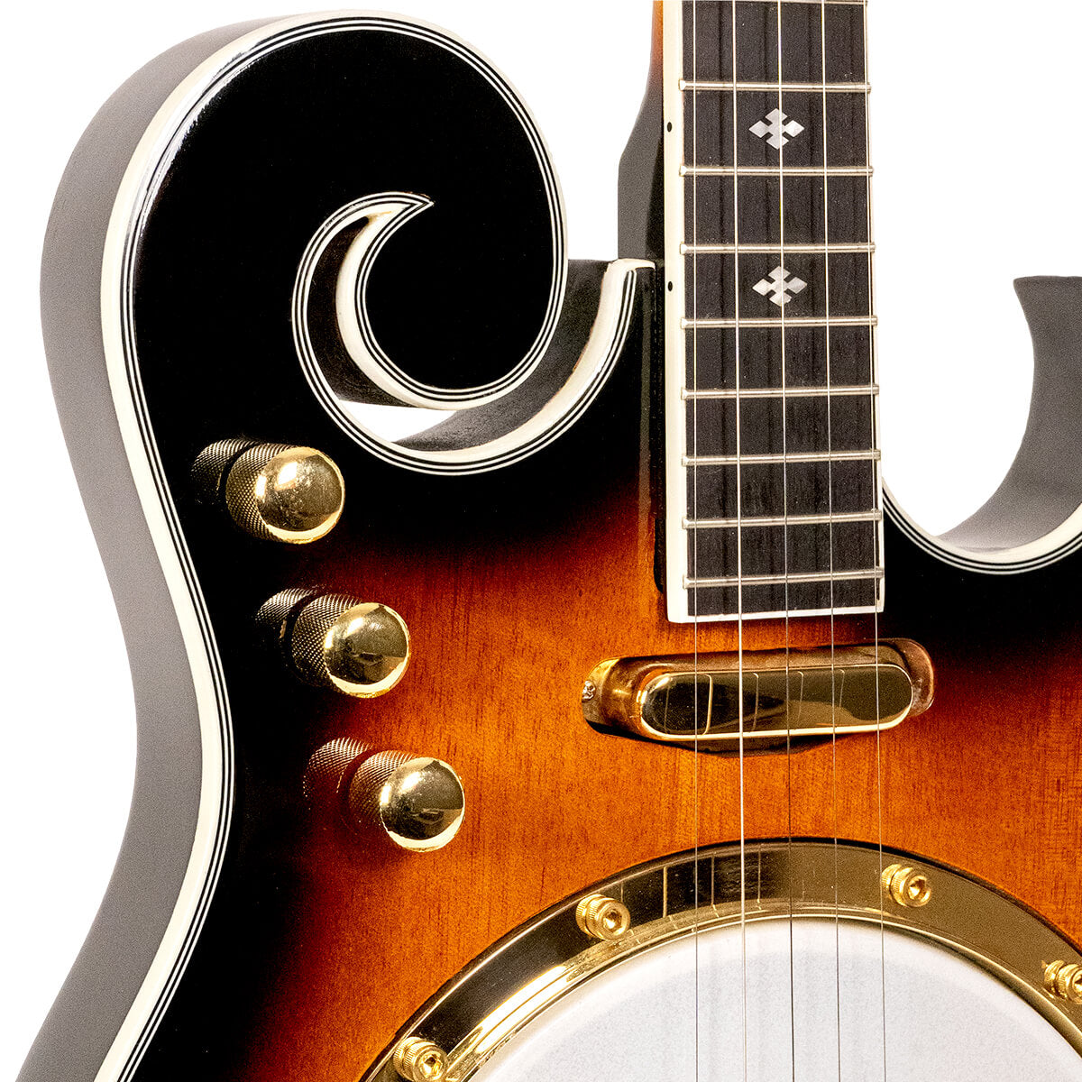 Gold Tone EB-M5 Electric Solid Body 5-String Banjo  (no case)