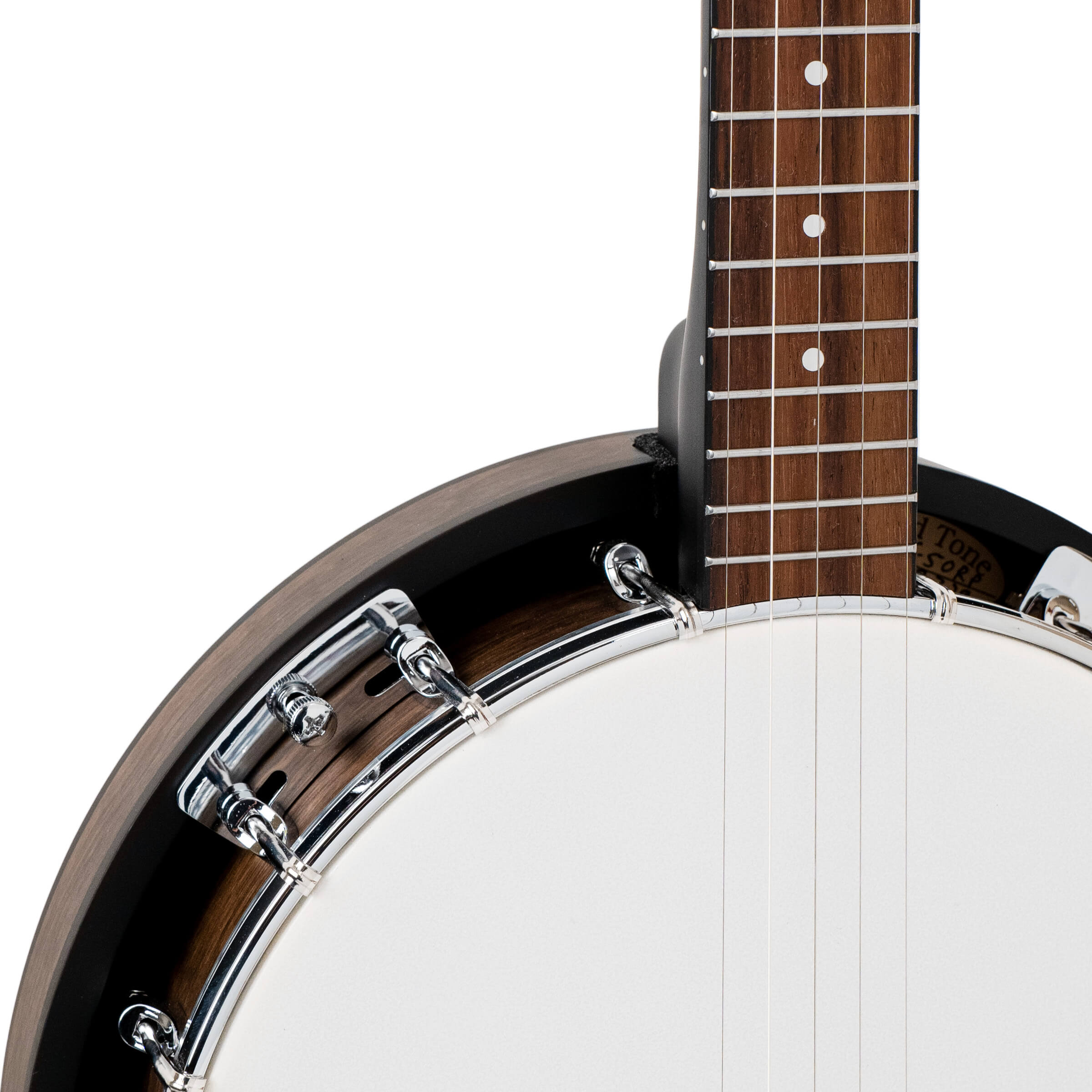 Gold Tone CC-50RP Cripple Creek Resonator with bag