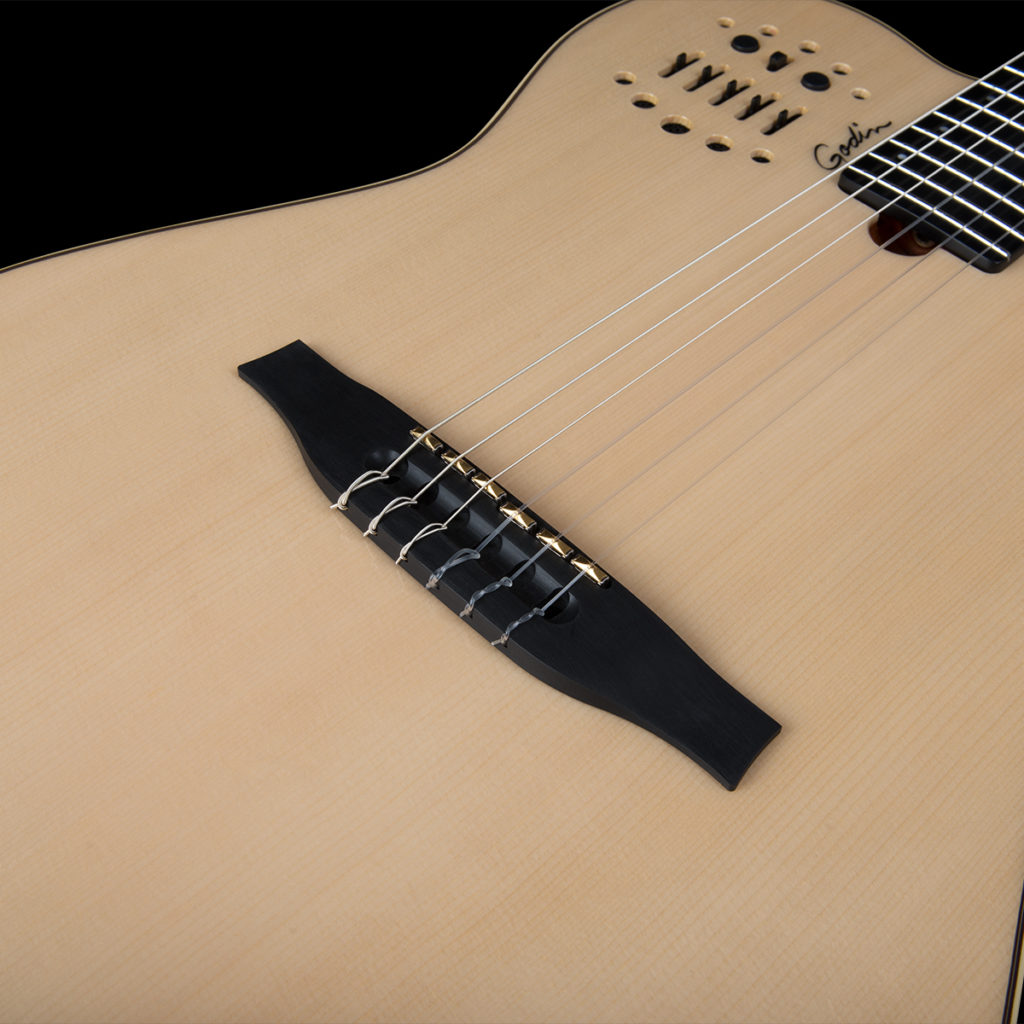 Godin Multiac Natural HG Classical Guitar w/Bag
