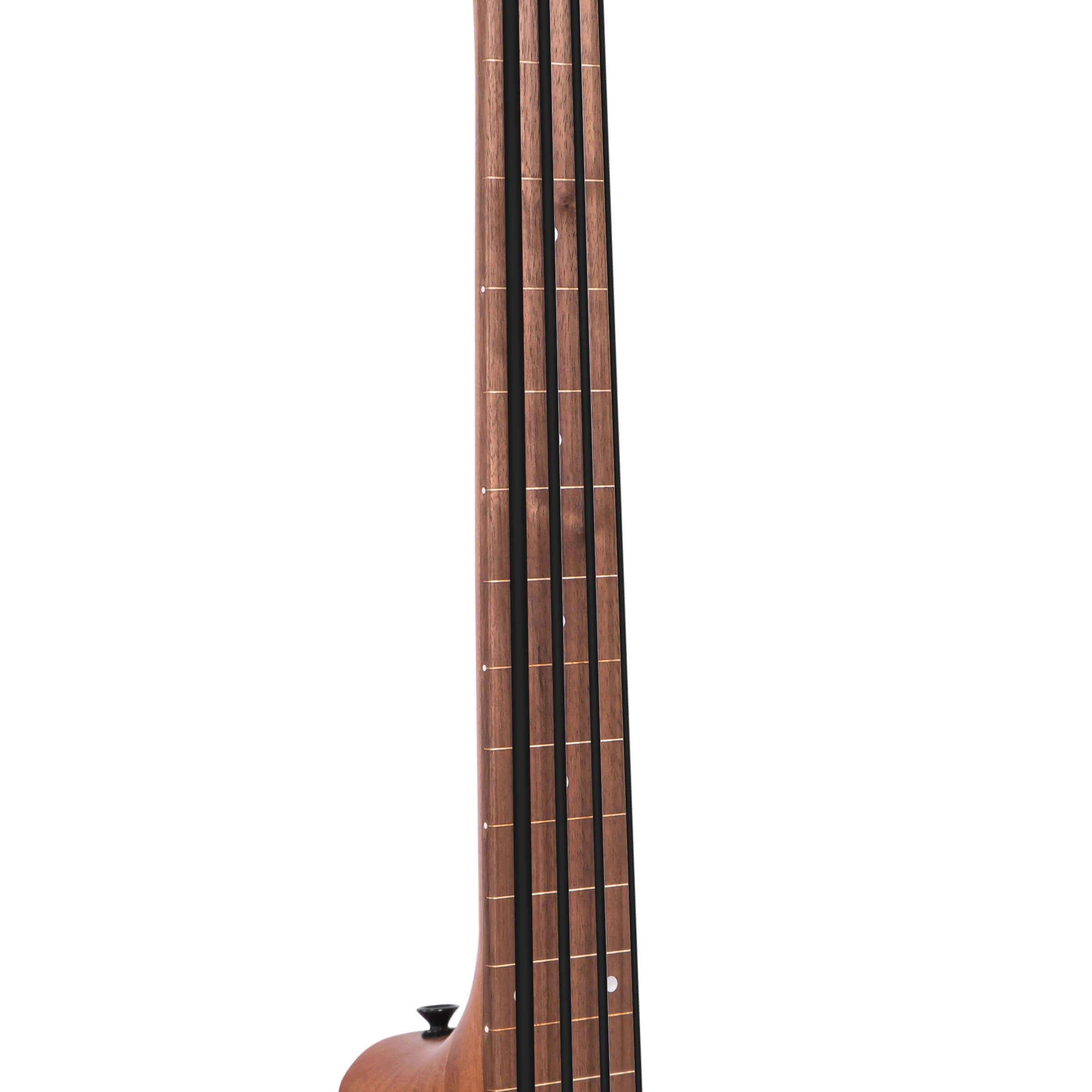 Gold Tone M-Bass 25FL  Fretless Acoustic-Electric  MicroBass w/Bag
