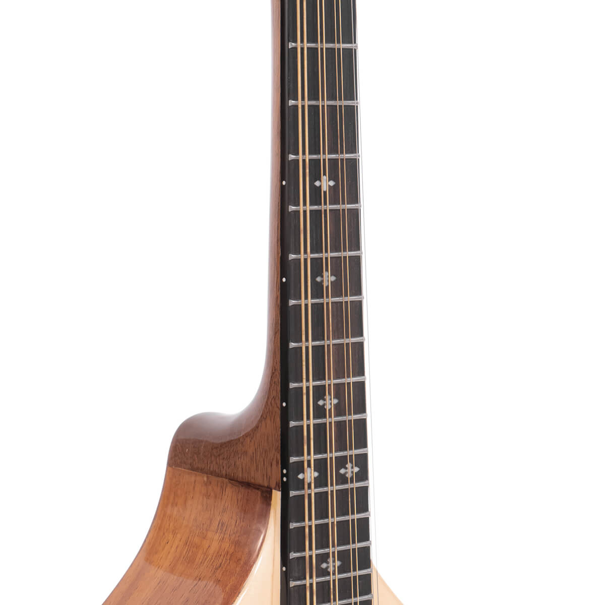 Gold Tone Mandola with bag