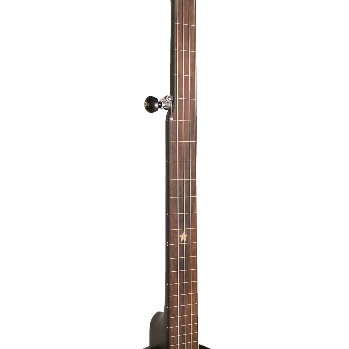 Gold Tone AC-1 FL Fretless w/Bag