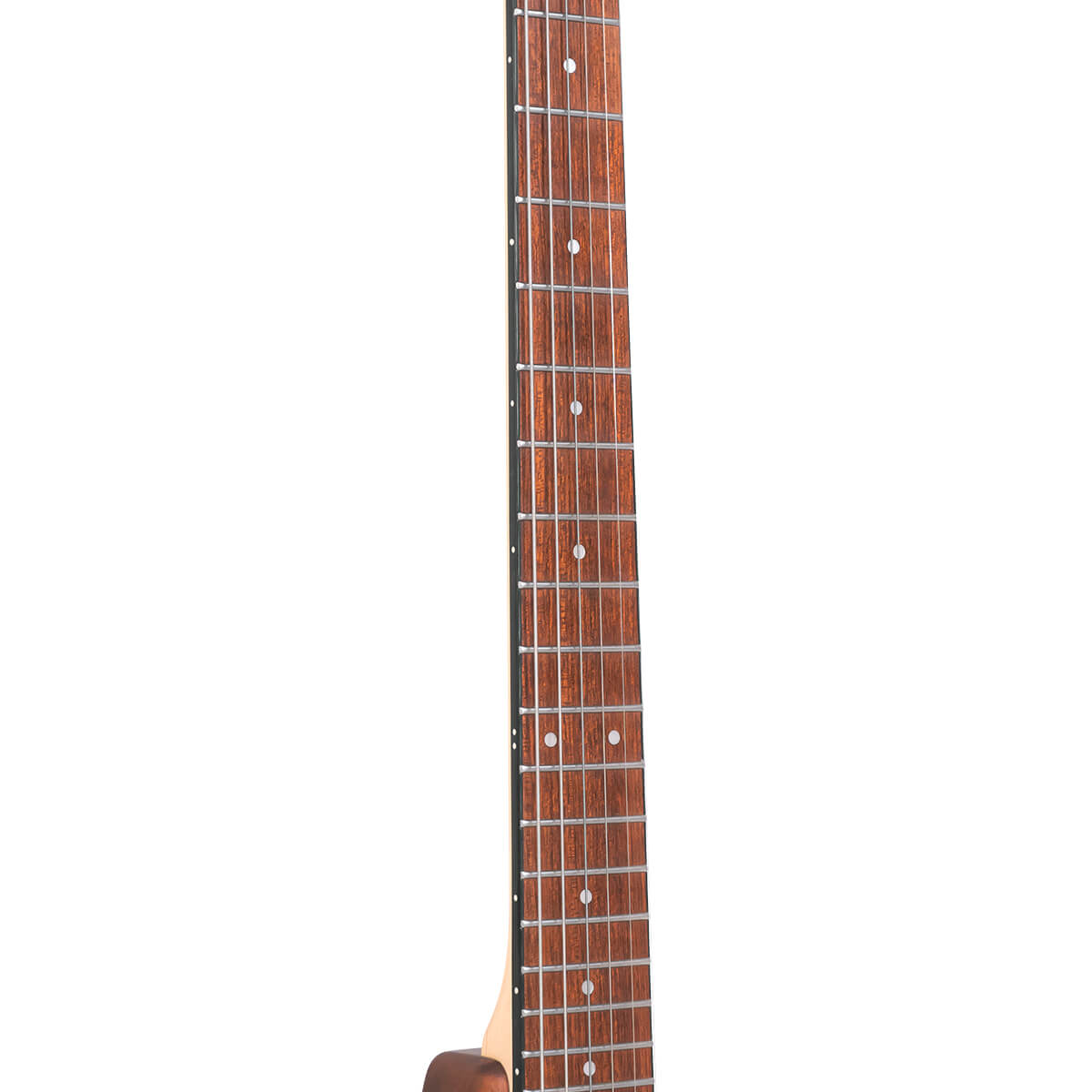 Gold Tone EB-6 Solid Body Electric 6-String Banjitar w/Bag