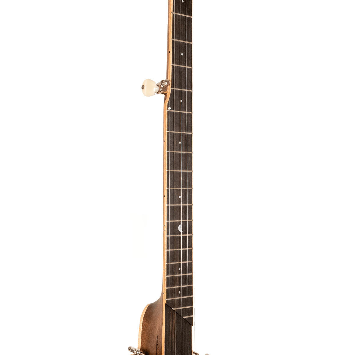 Gold Tone HM-100 High Moon open back 5 string