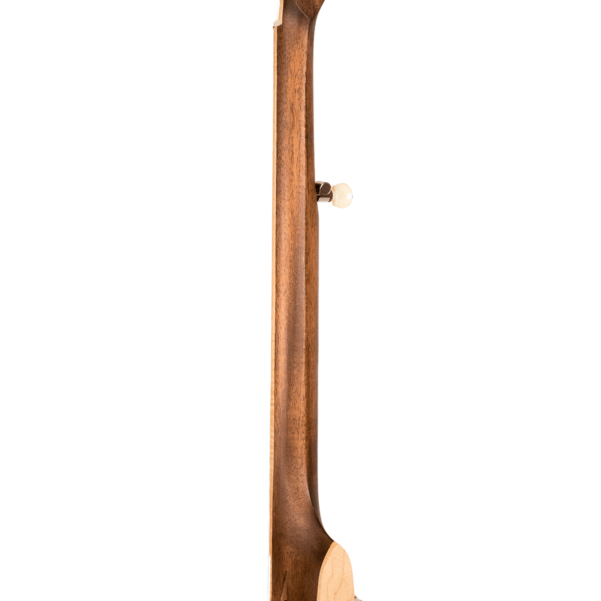 Gold Tone HM-100 High Moon open back 5 string