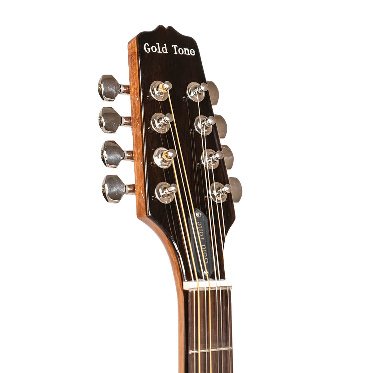Gold Tone BZ-500 Irish Bouzouki Mandolin with Pickup and Case