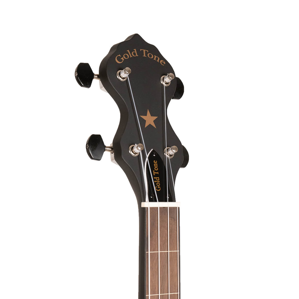 Gold Tone AC-1 FL Fretless w/Bag