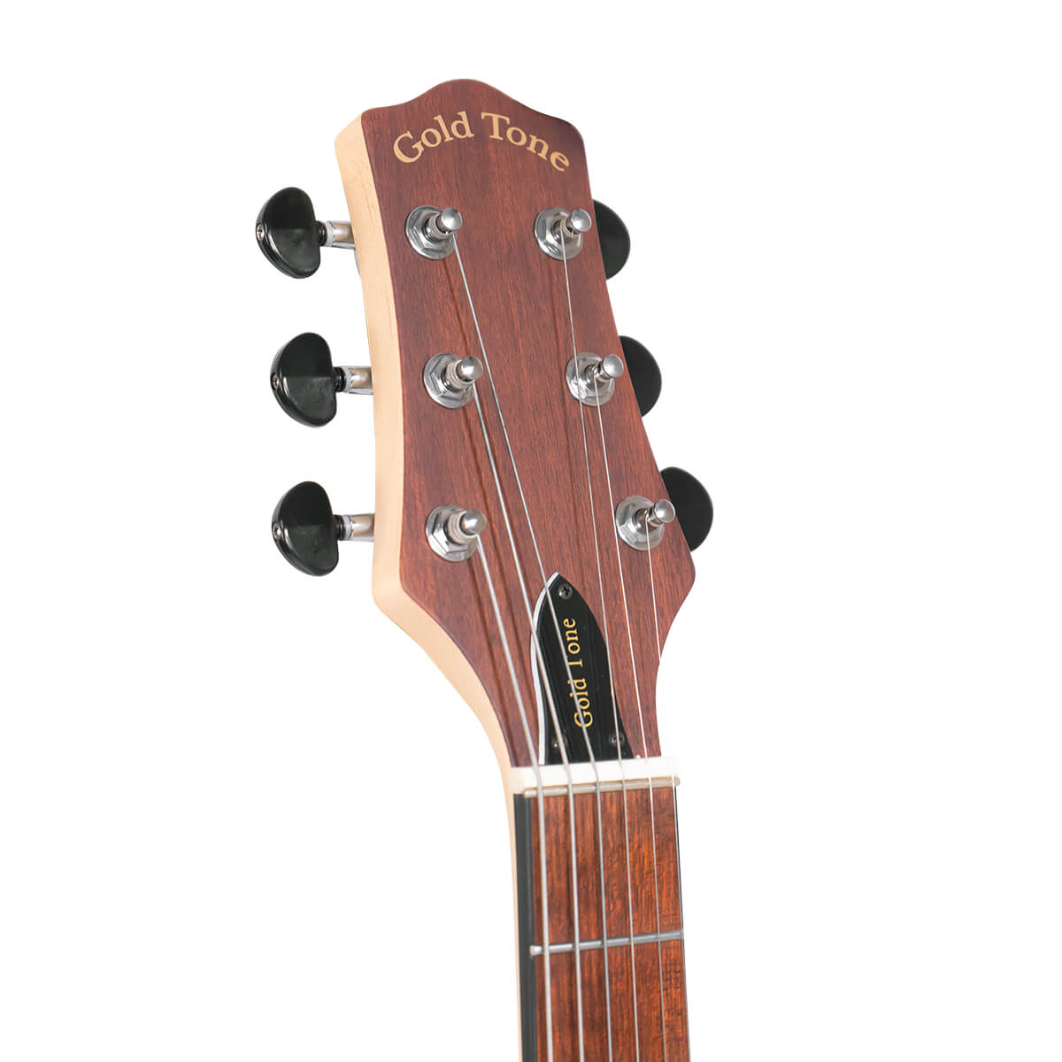 Gold Tone EB-6 Solid Body Electric 6-String Banjitar w/Bag
