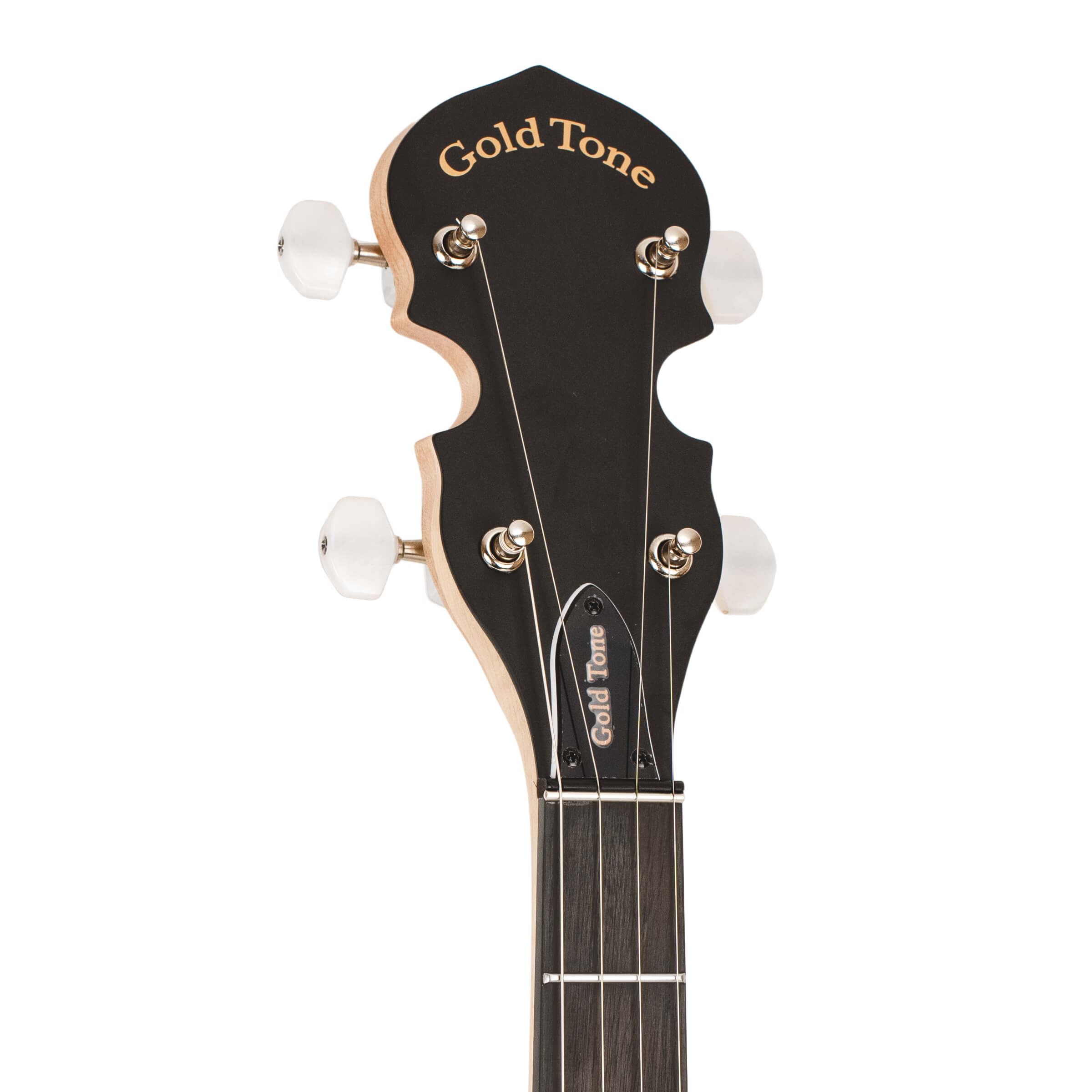 Gold Tone AC-5 Composite Series Resonator Banjo with bag