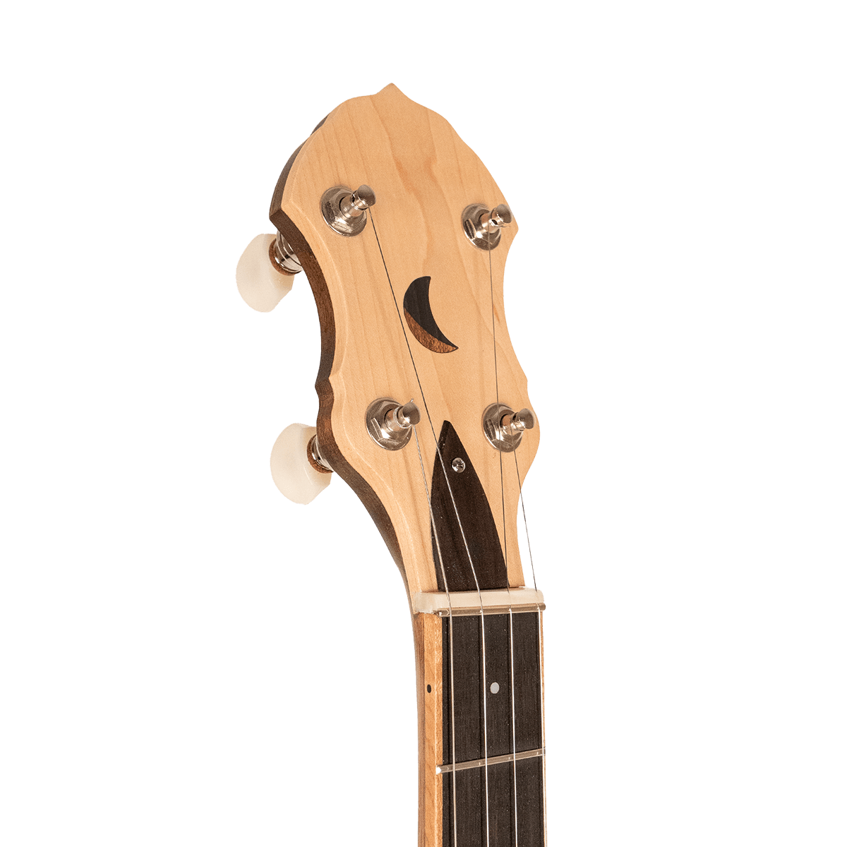 Gold Tone HM-100 High Moon open back 5 string