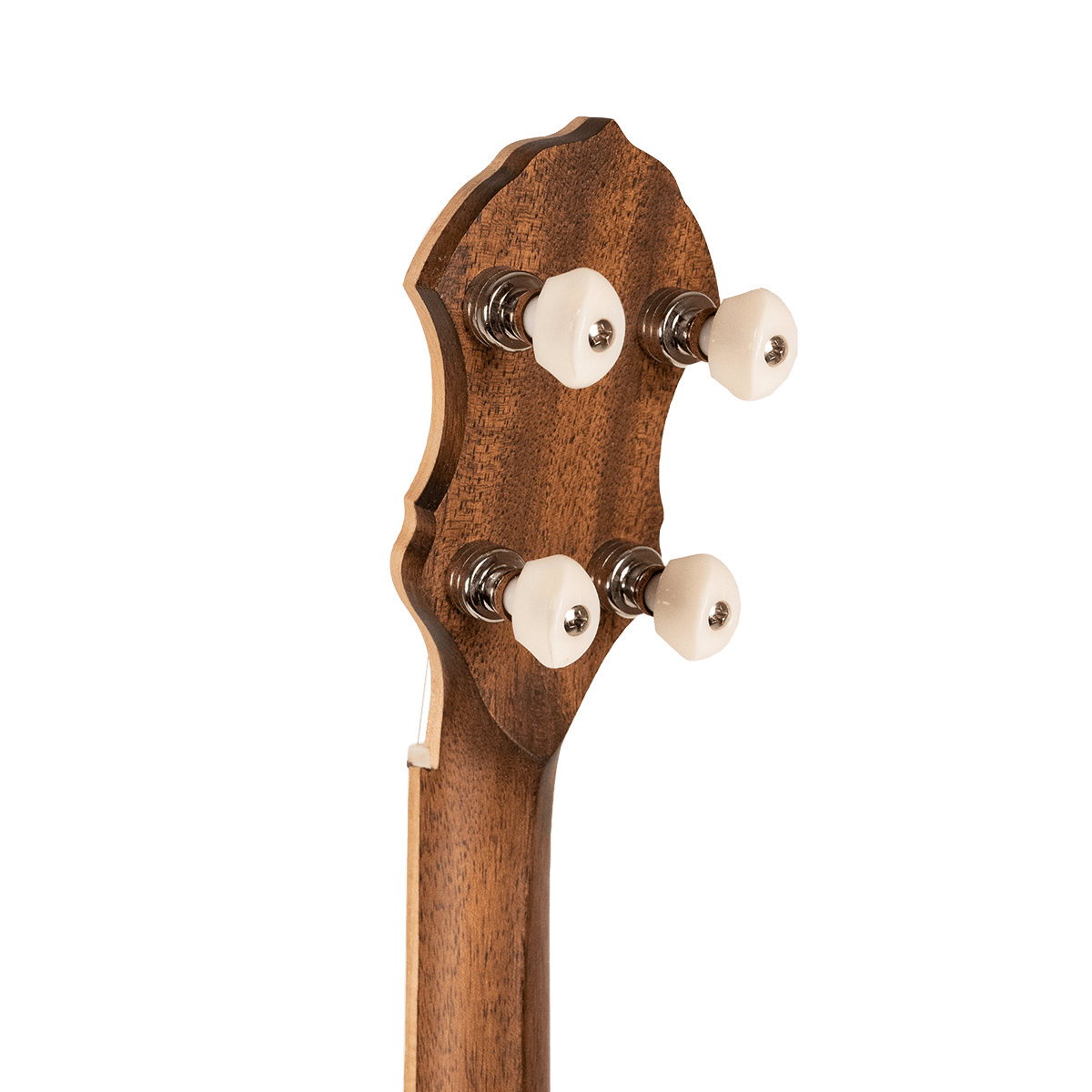 Gold Tone HM-100 High Moon open back 5 string