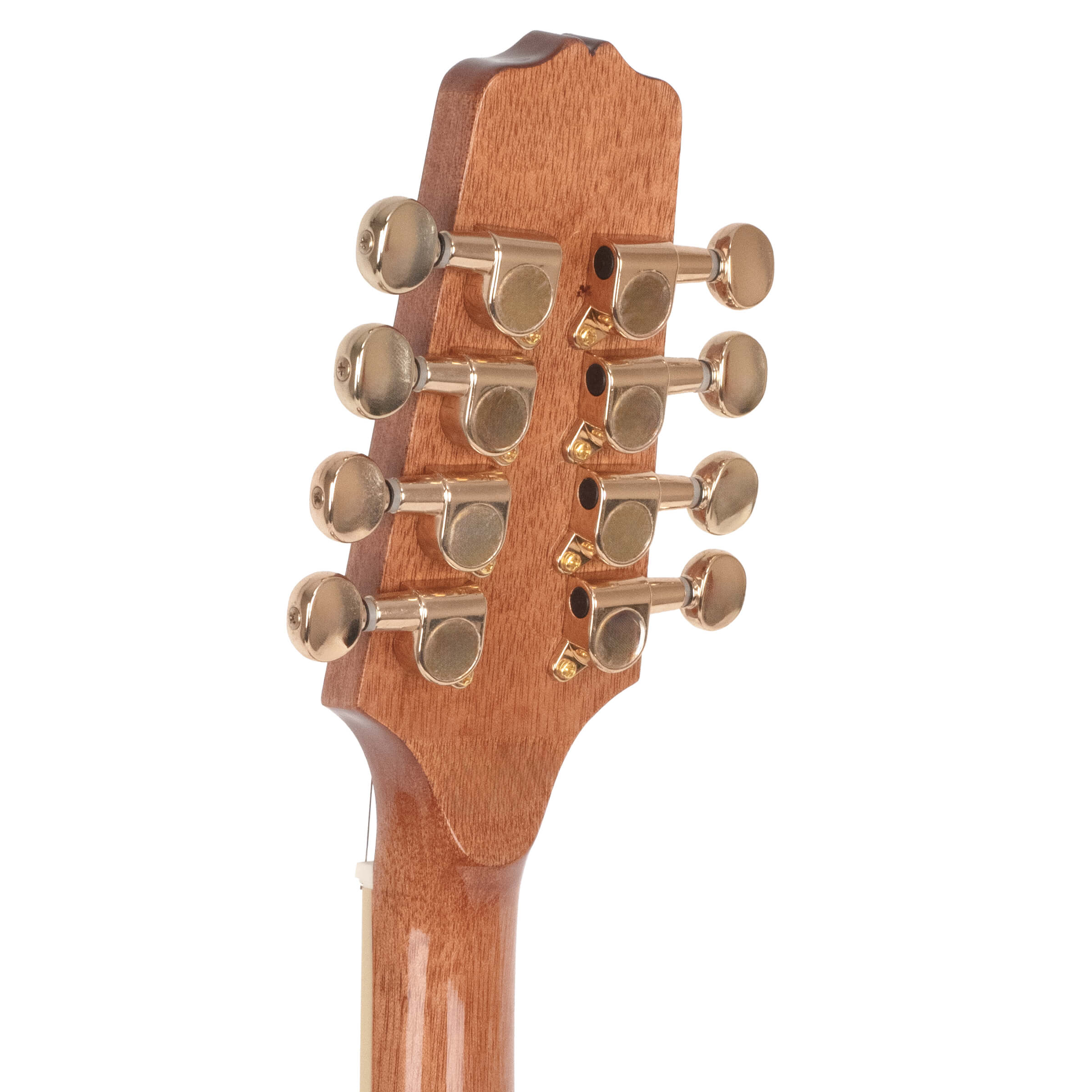 Gold Tone OM-800+ Octave Mandolin with Pickup  and case