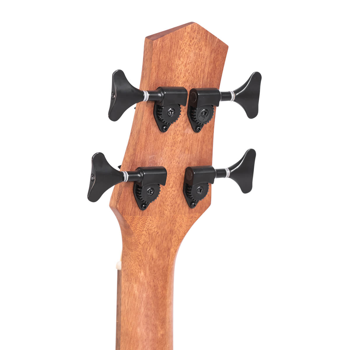 Gold Tone M-Bass 25FL  Fretless Acoustic-Electric  MicroBass w/Bag