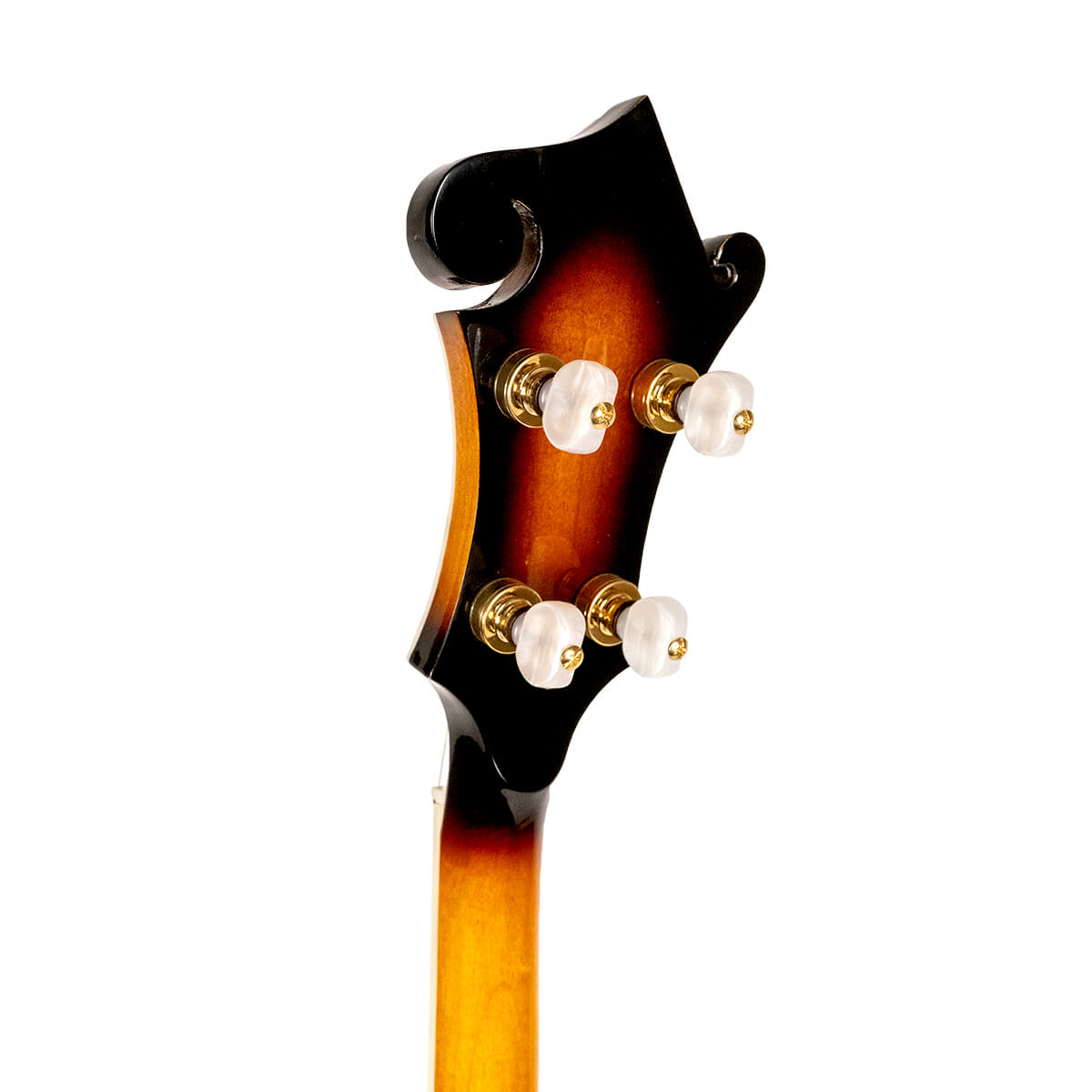 Gold Tone EB-M5 Electric Solid Body 5-String Banjo  (no case)