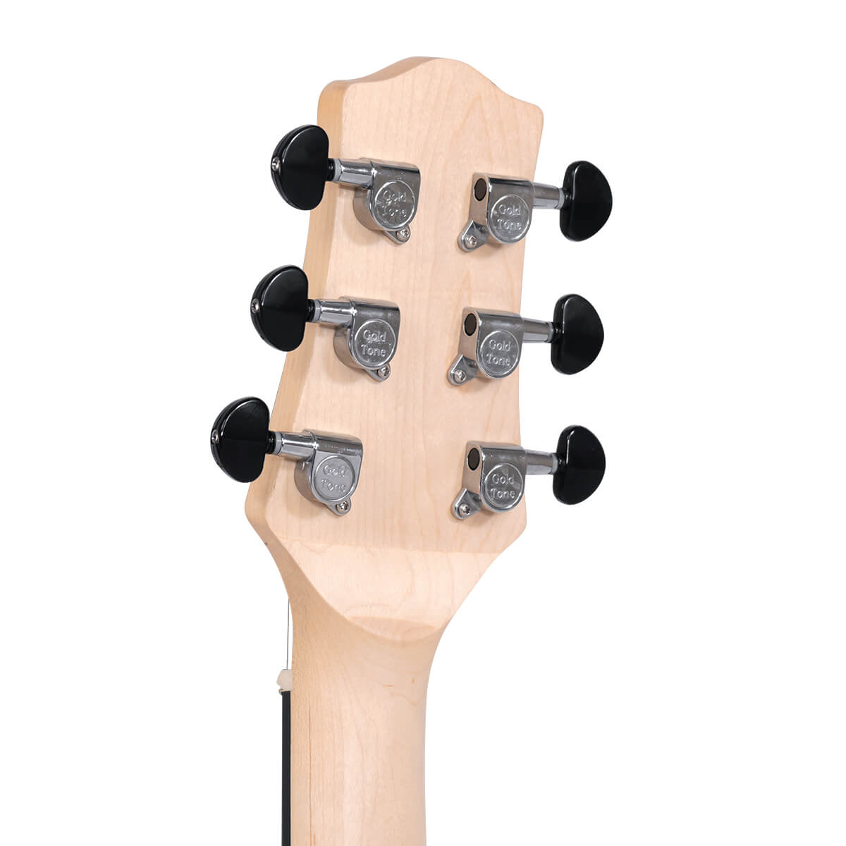 Gold Tone EB-6 Solid Body Electric 6-String Banjitar w/Bag