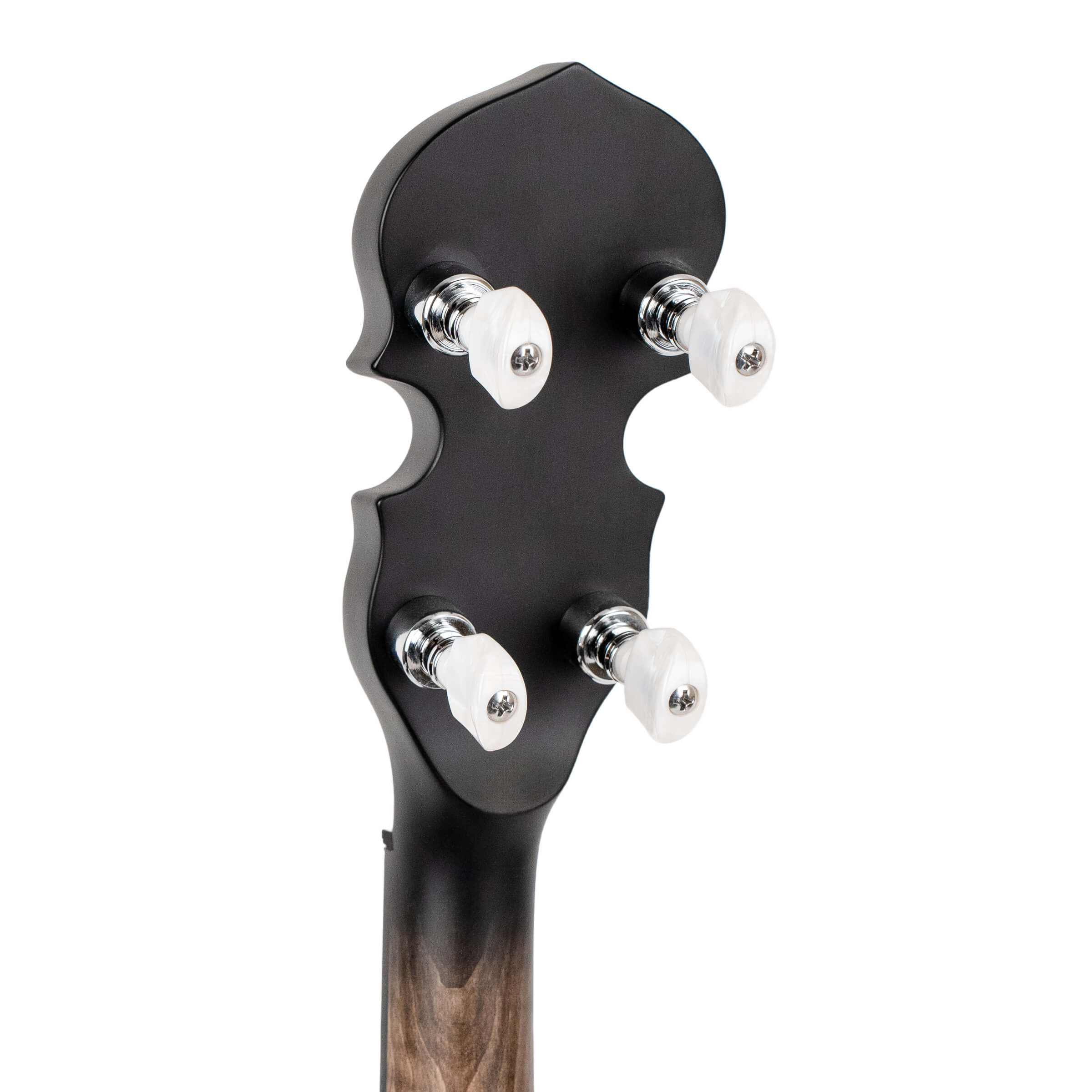 Gold Tone CC-50RP Cripple Creek Resonator with bag