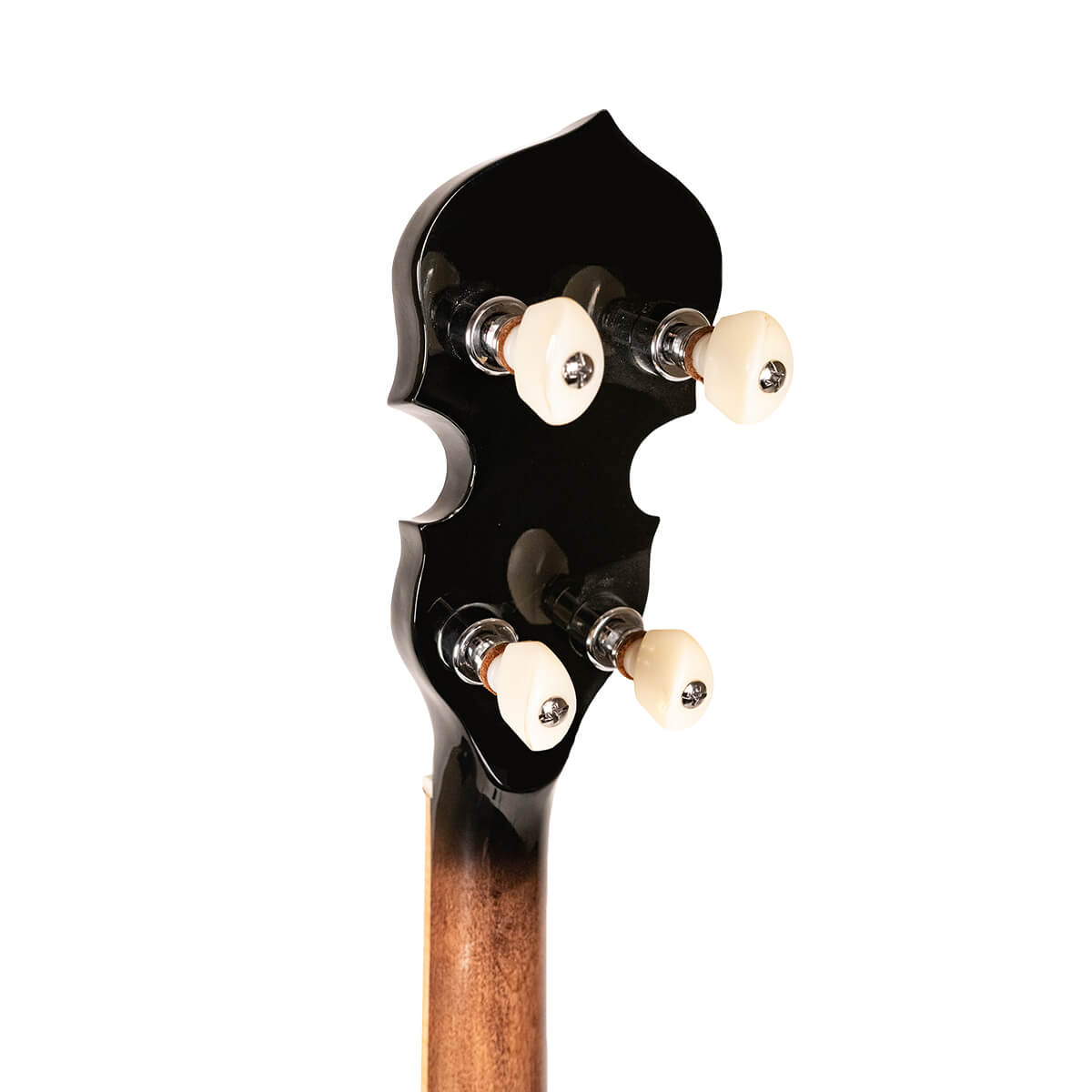 Gold Tone OB-250 Bluegrass 5 string Banjo with case