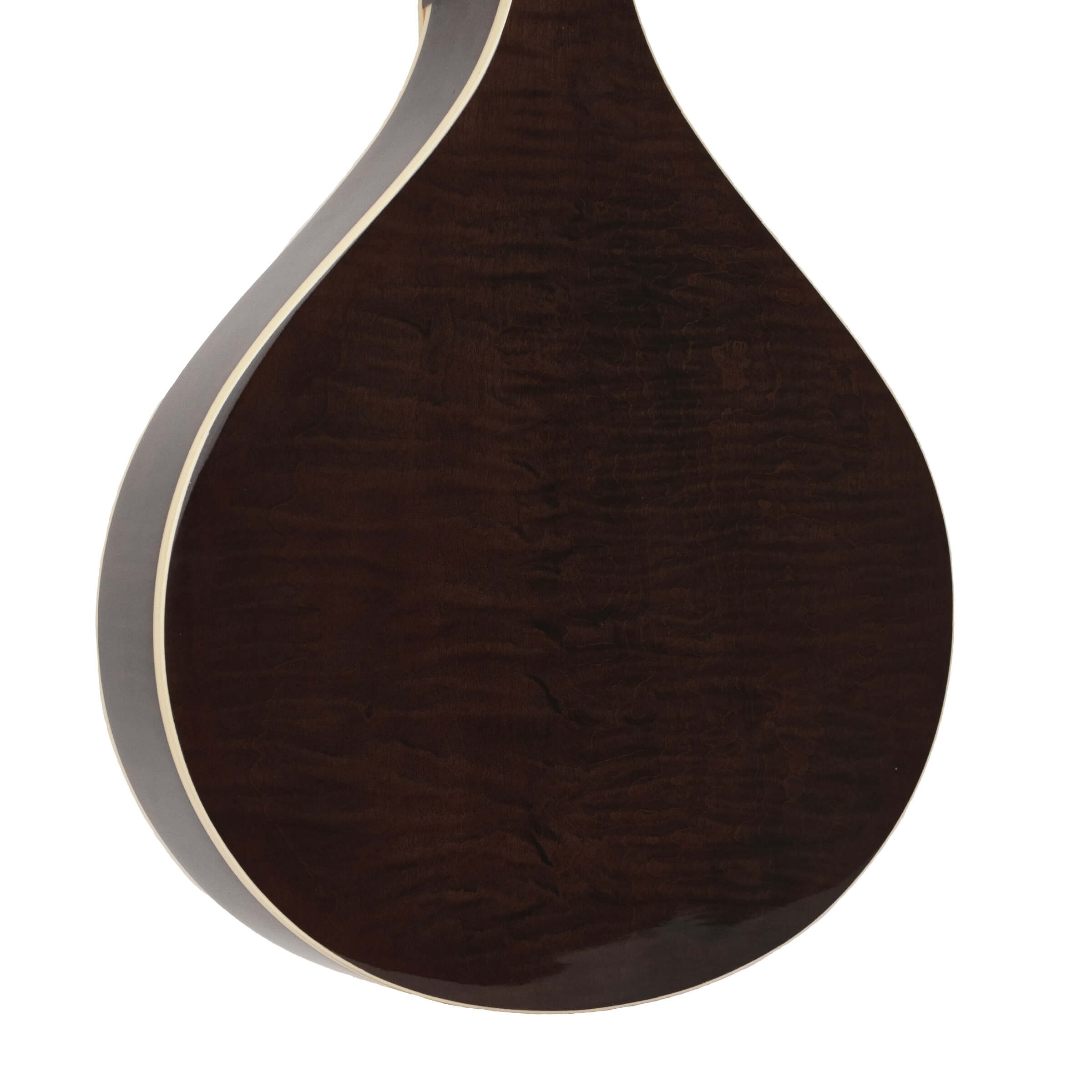 Gold Tone Banjola+ with bag