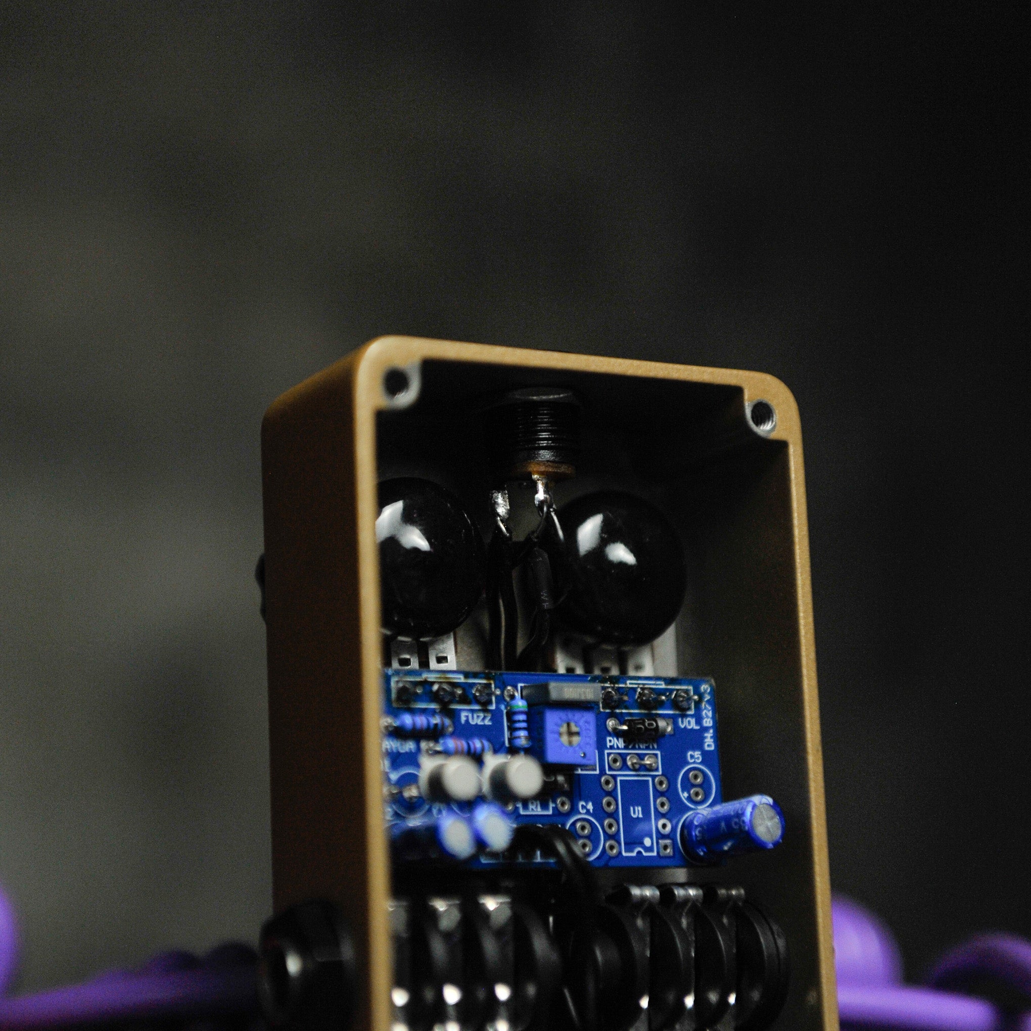 Anatmy FX Frontal Fuzz Pedal