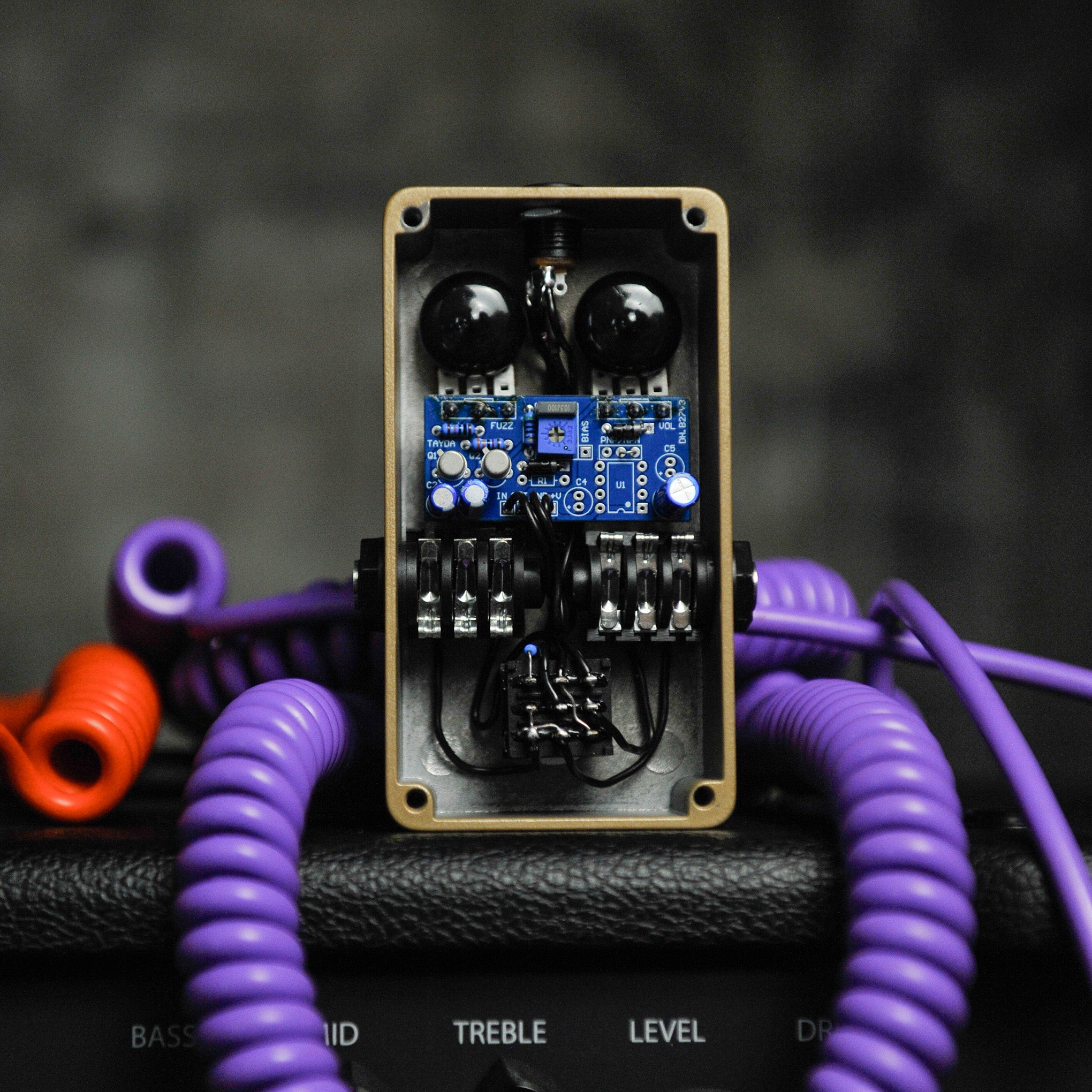 Anatmy FX Frontal Fuzz Pedal