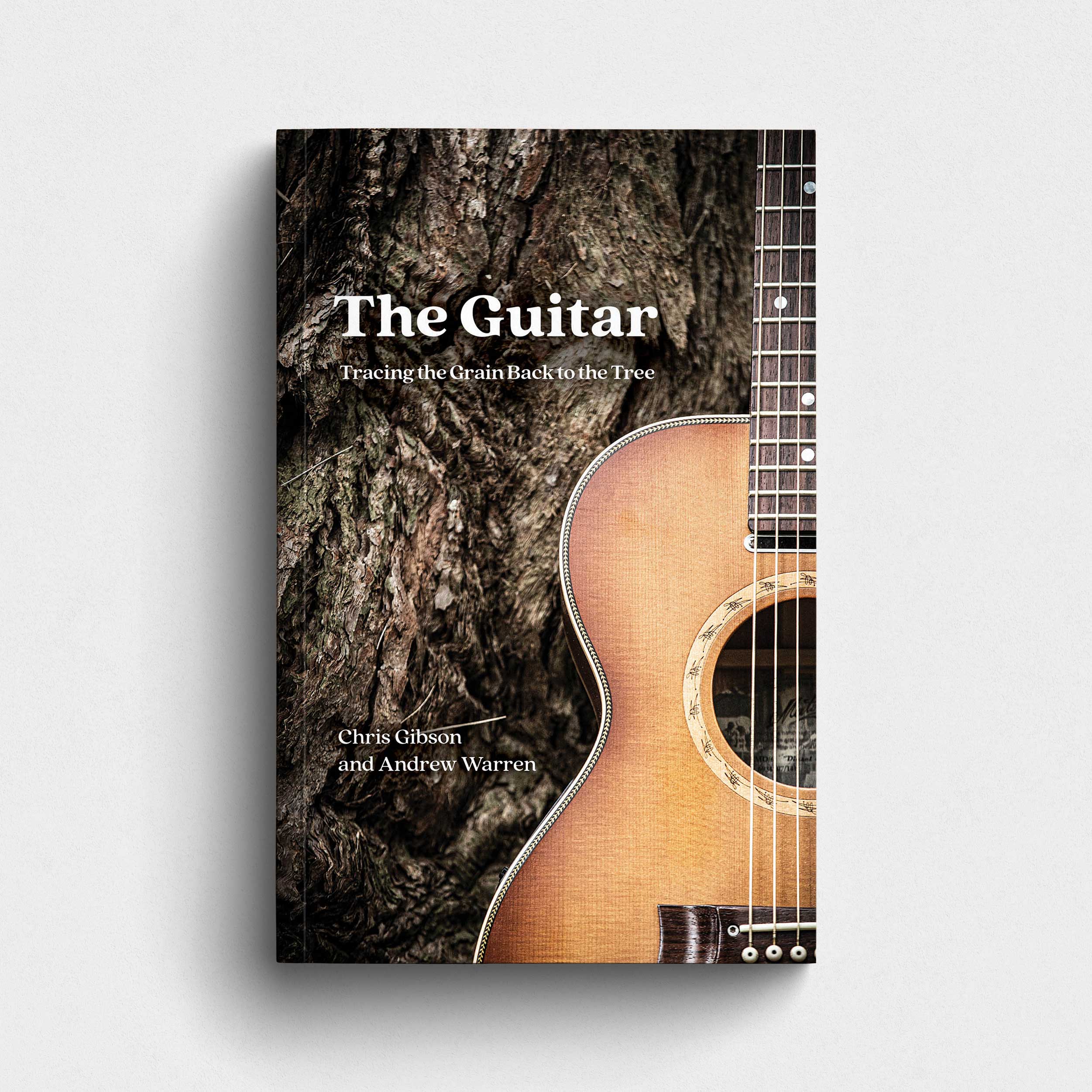 The Guitar: Tracing the Grain Back to the Tree