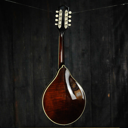 Bourgeois M5 A BT Model Mandolin