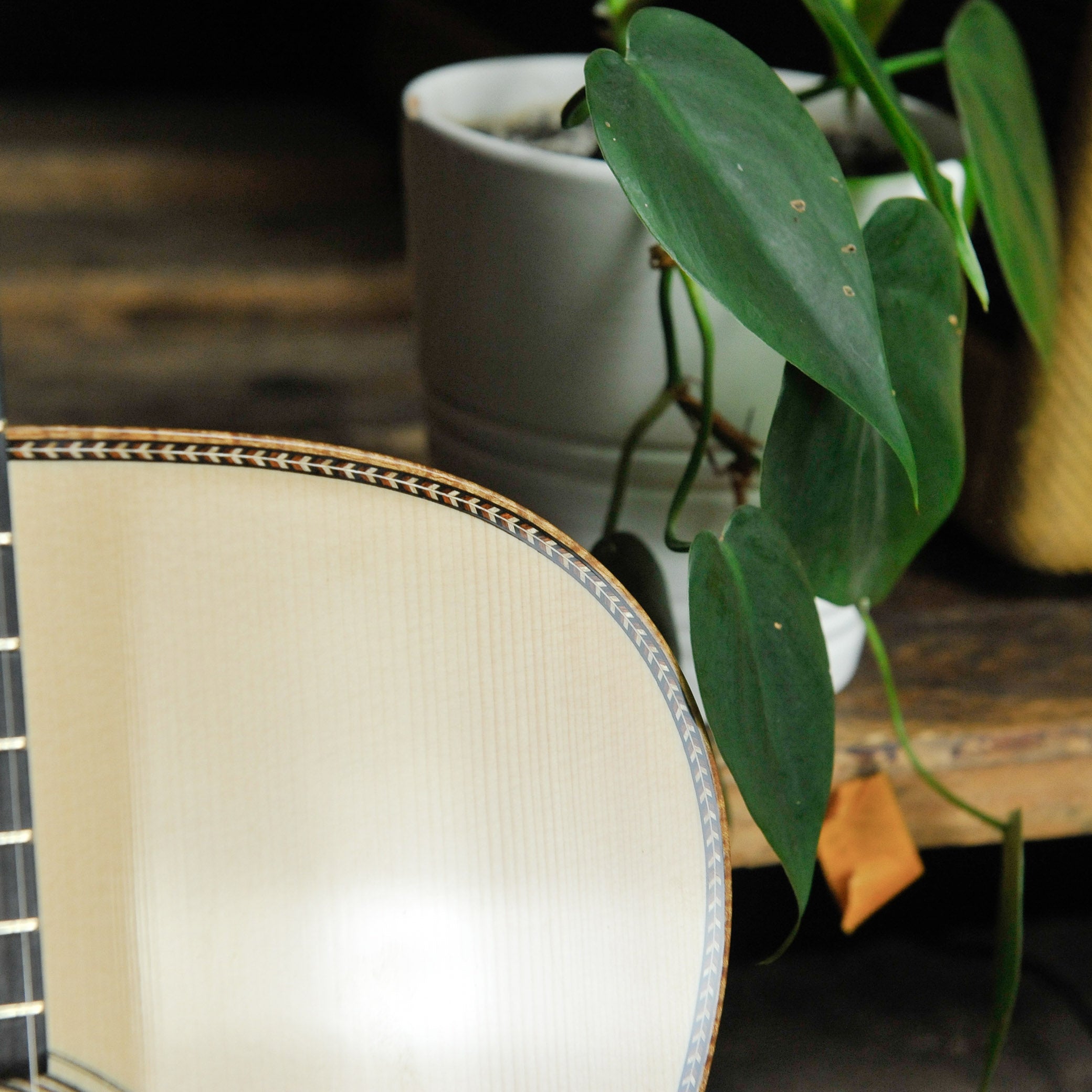 Bourgeois Legacy Series OM - DB Signature Adirondak Madagascar #10535