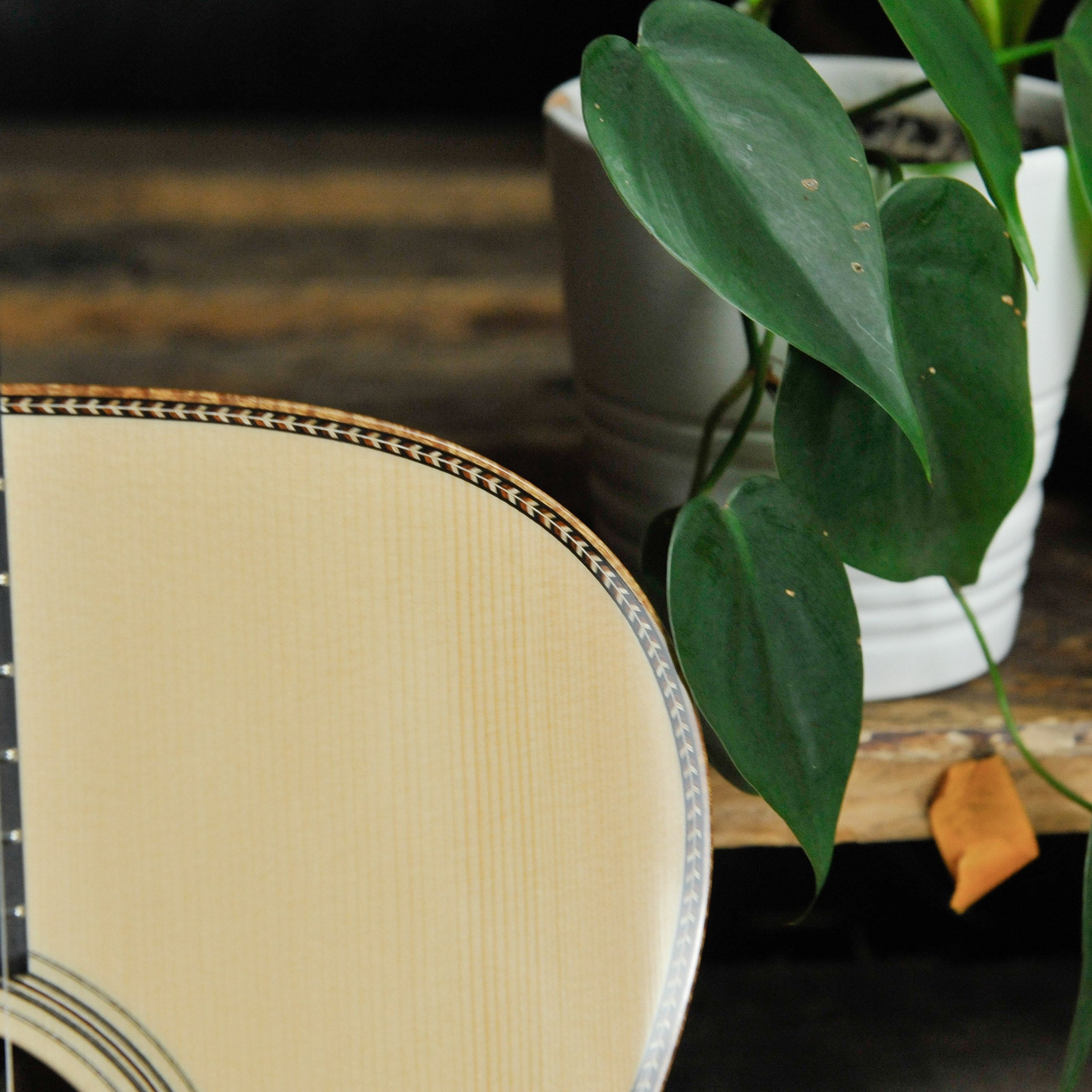 Bourgeois Legacy Series OM - DB Signature Adirondak Madagascar #10535