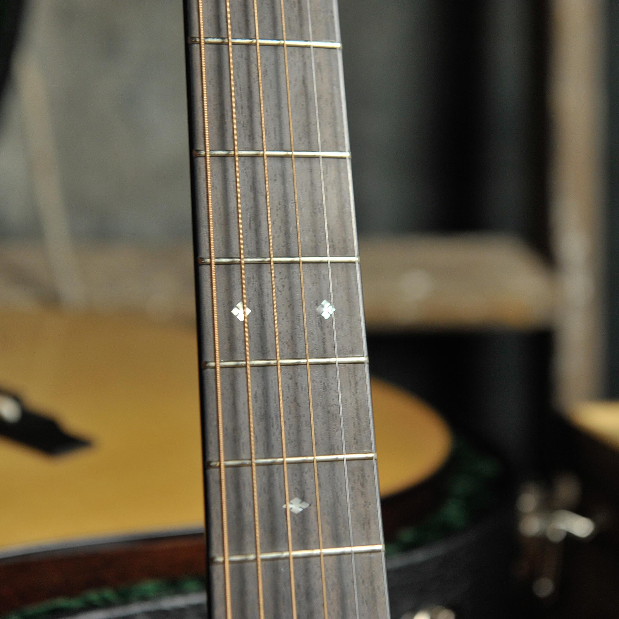 Bourgeois Professional Series Vintage OM Mahogany Sitka Top #10395